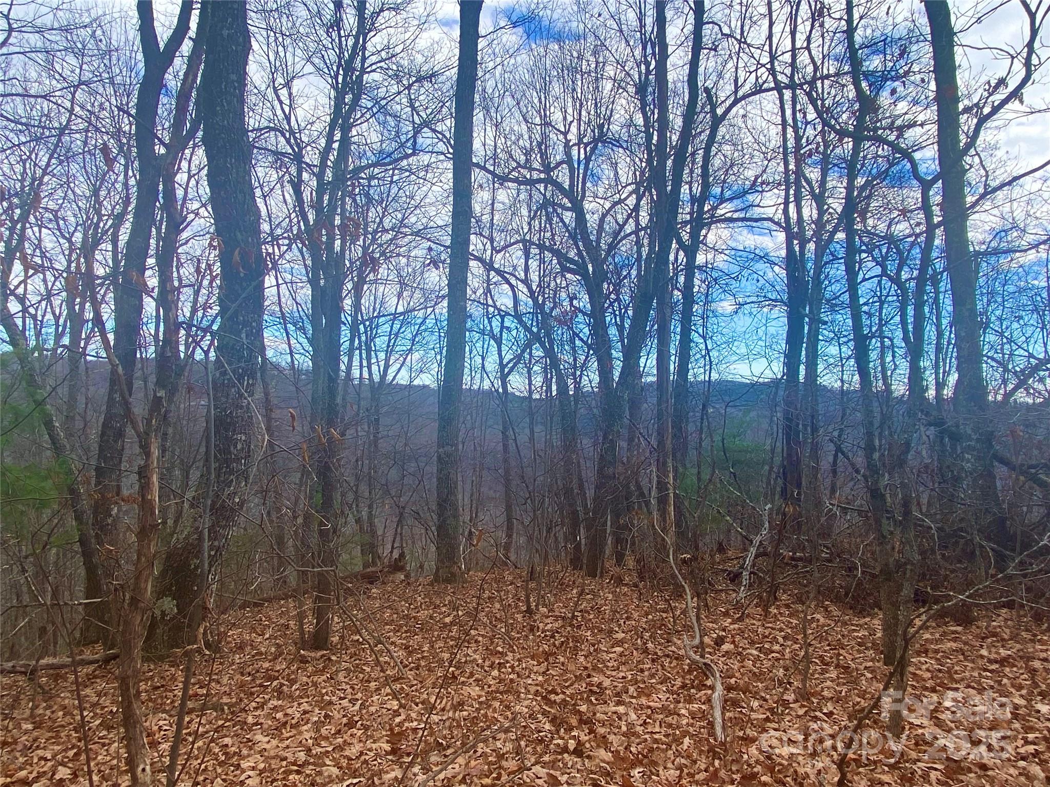 Lot 37 Skyline Road 37 Property Photo 3