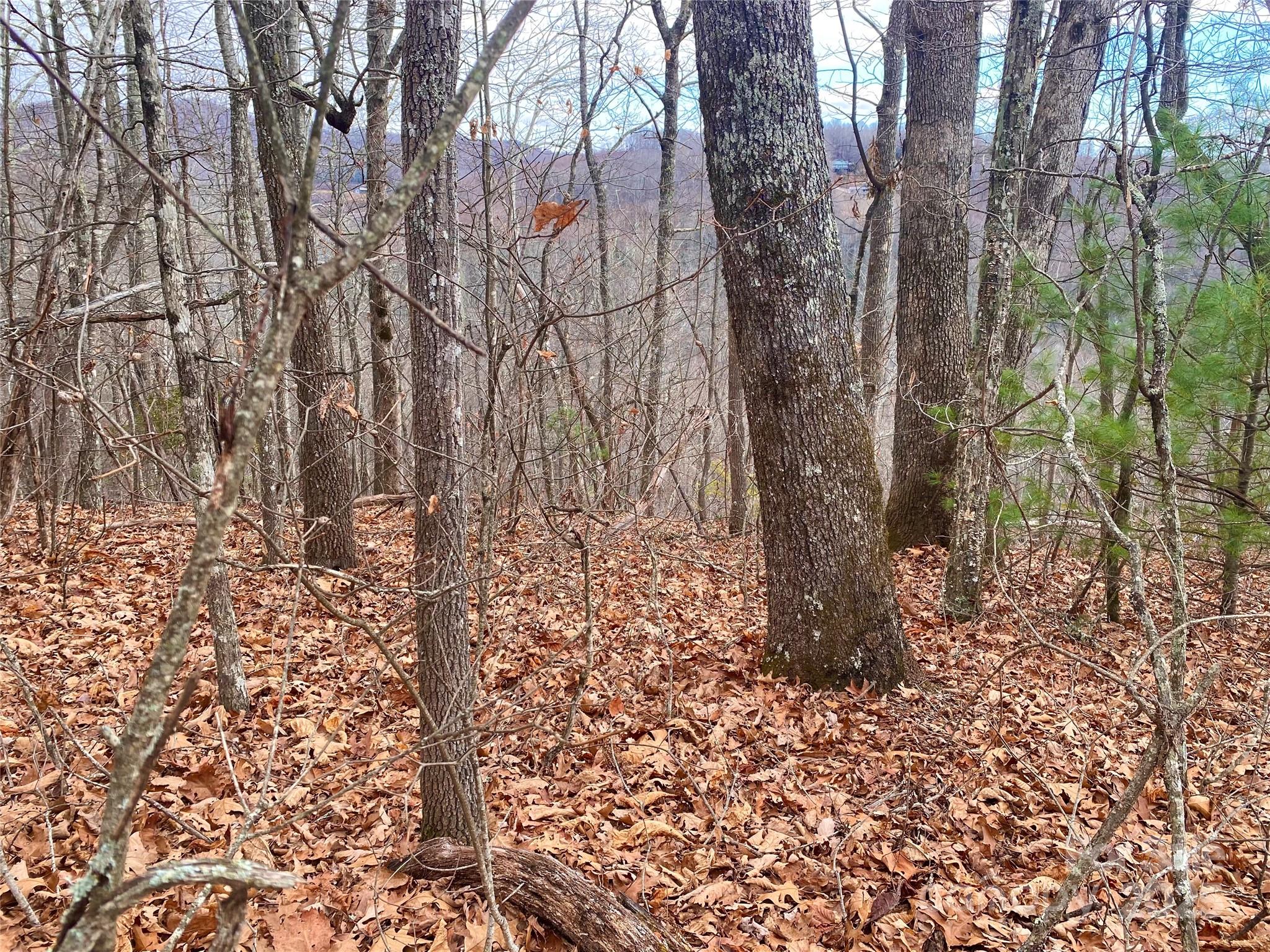 Lot 37 Skyline Road 37 Property Photo 6