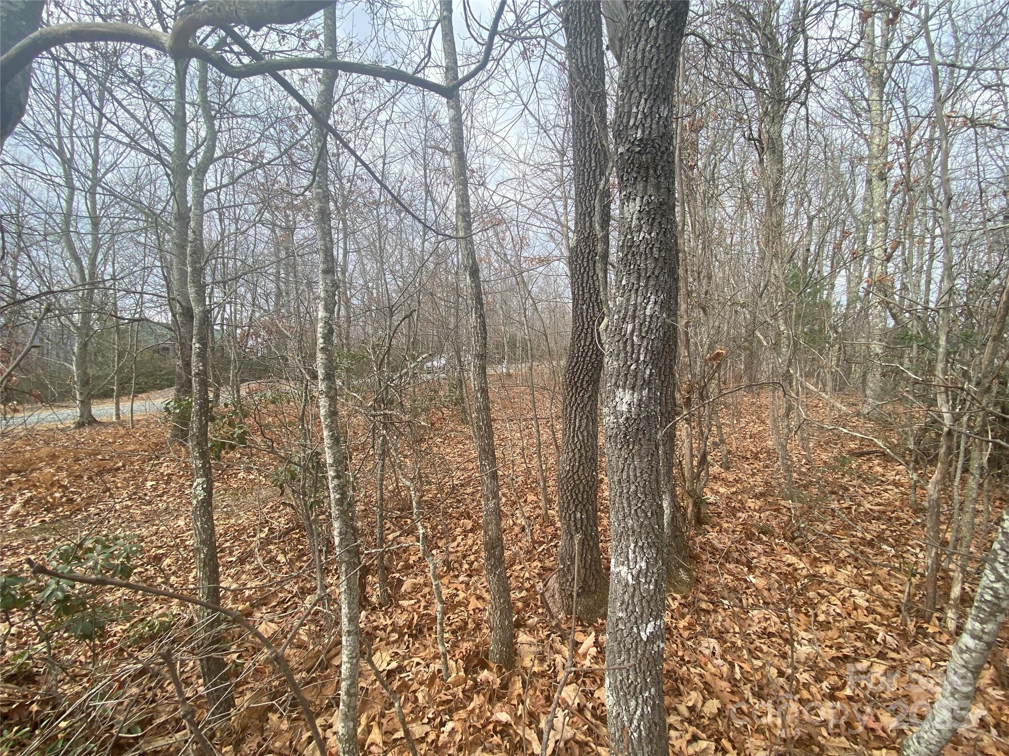 Lot 37 Skyline Road 37 Property Photo 7