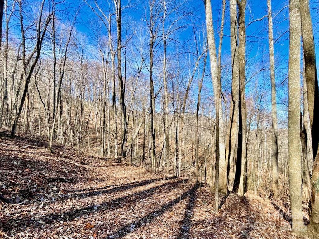 10.02 Acres Tbd Rock Garden Road Property Photo