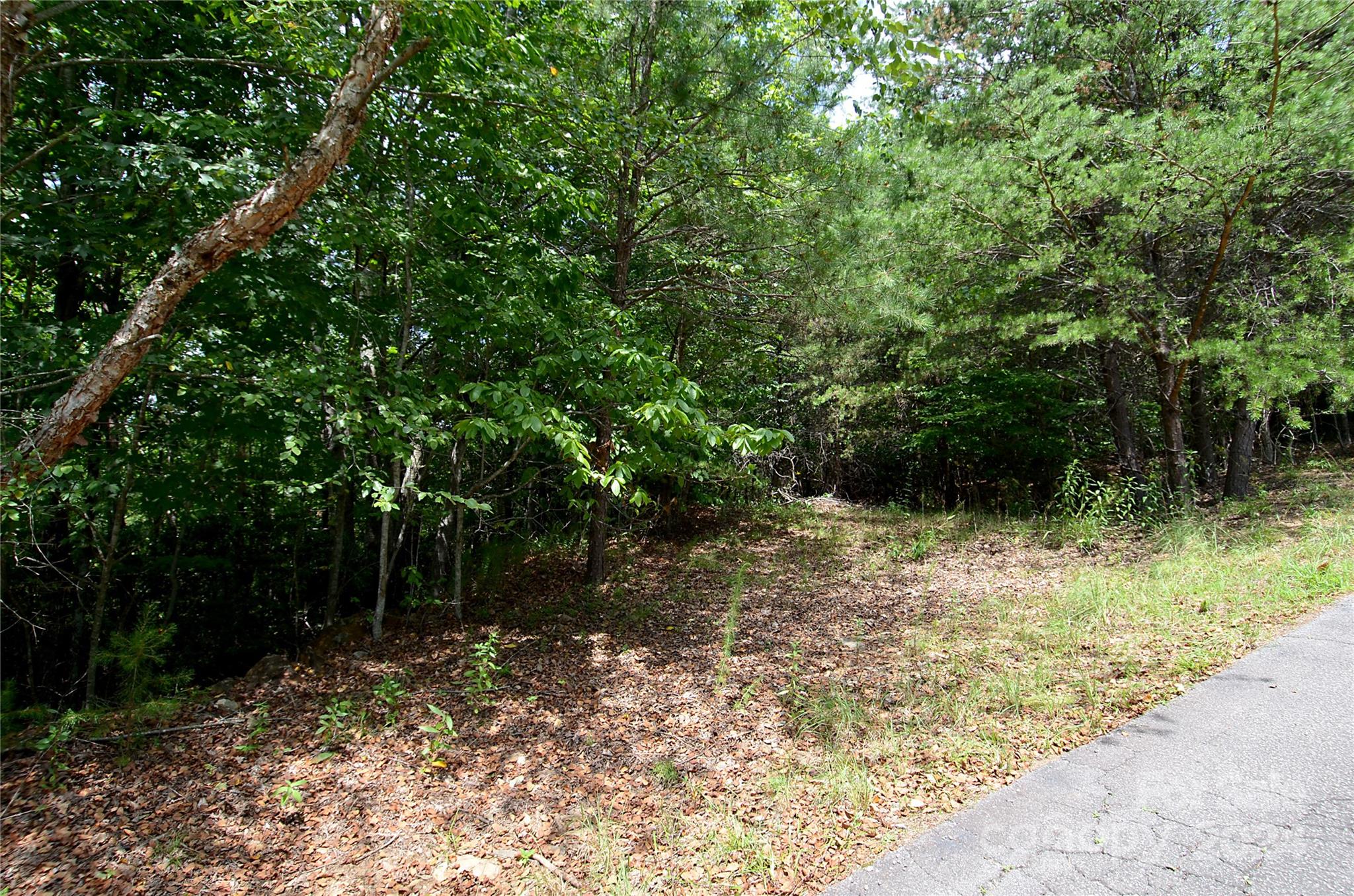 00 Victoria Drive Property Photo 4