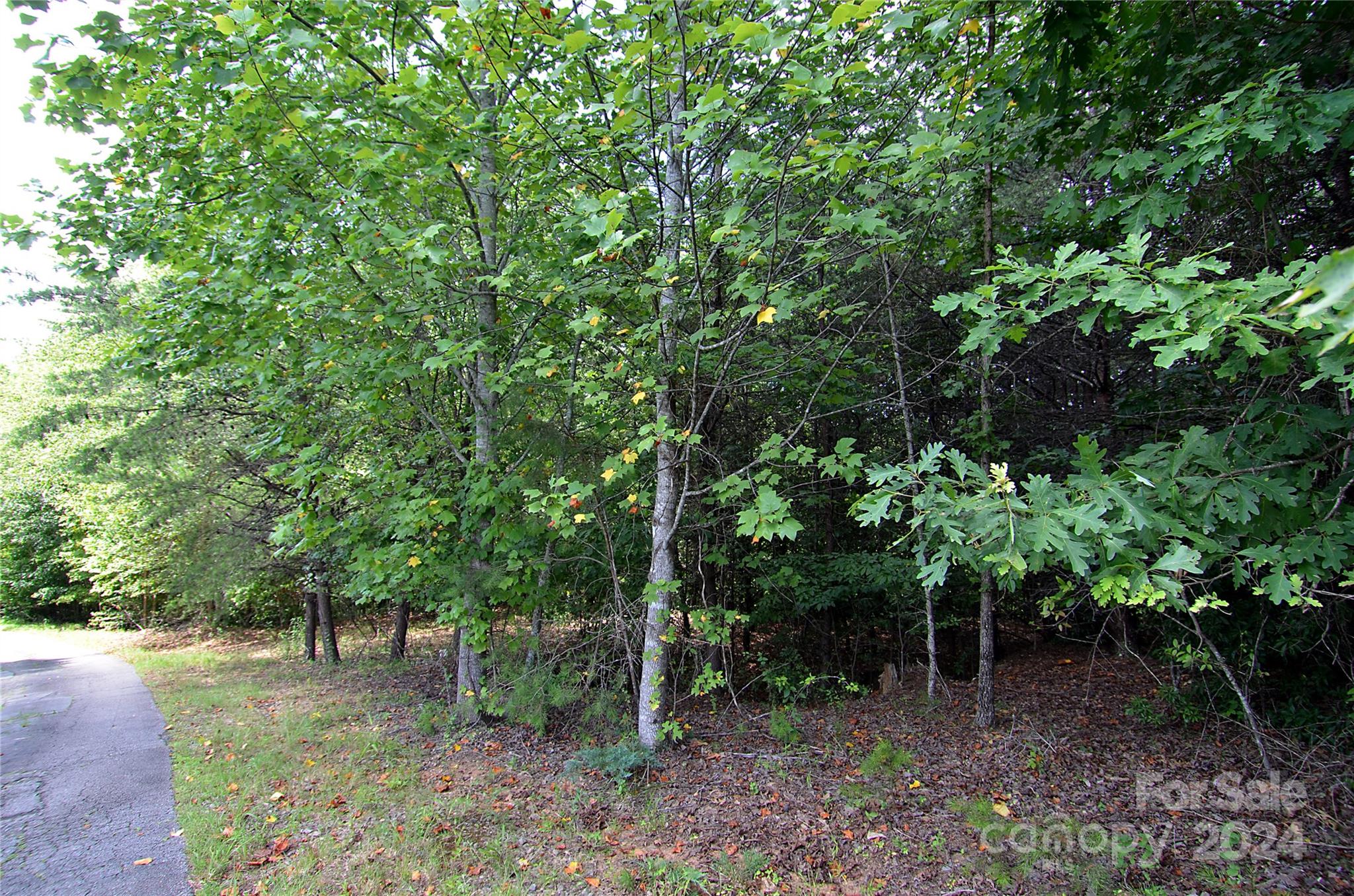 00 Victoria Drive Property Photo 7