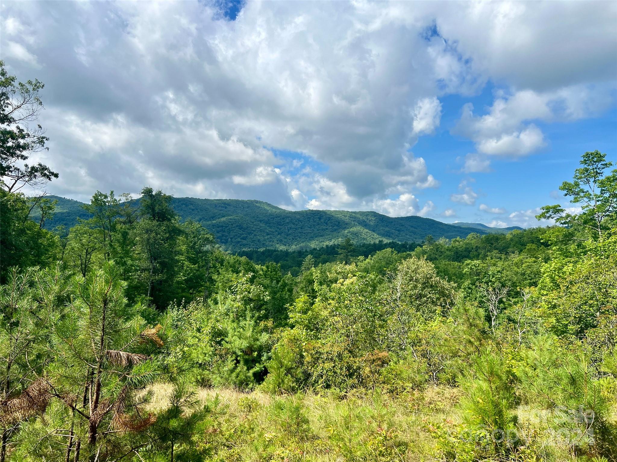 667 Laurel Thicket Lane Property Photo 1