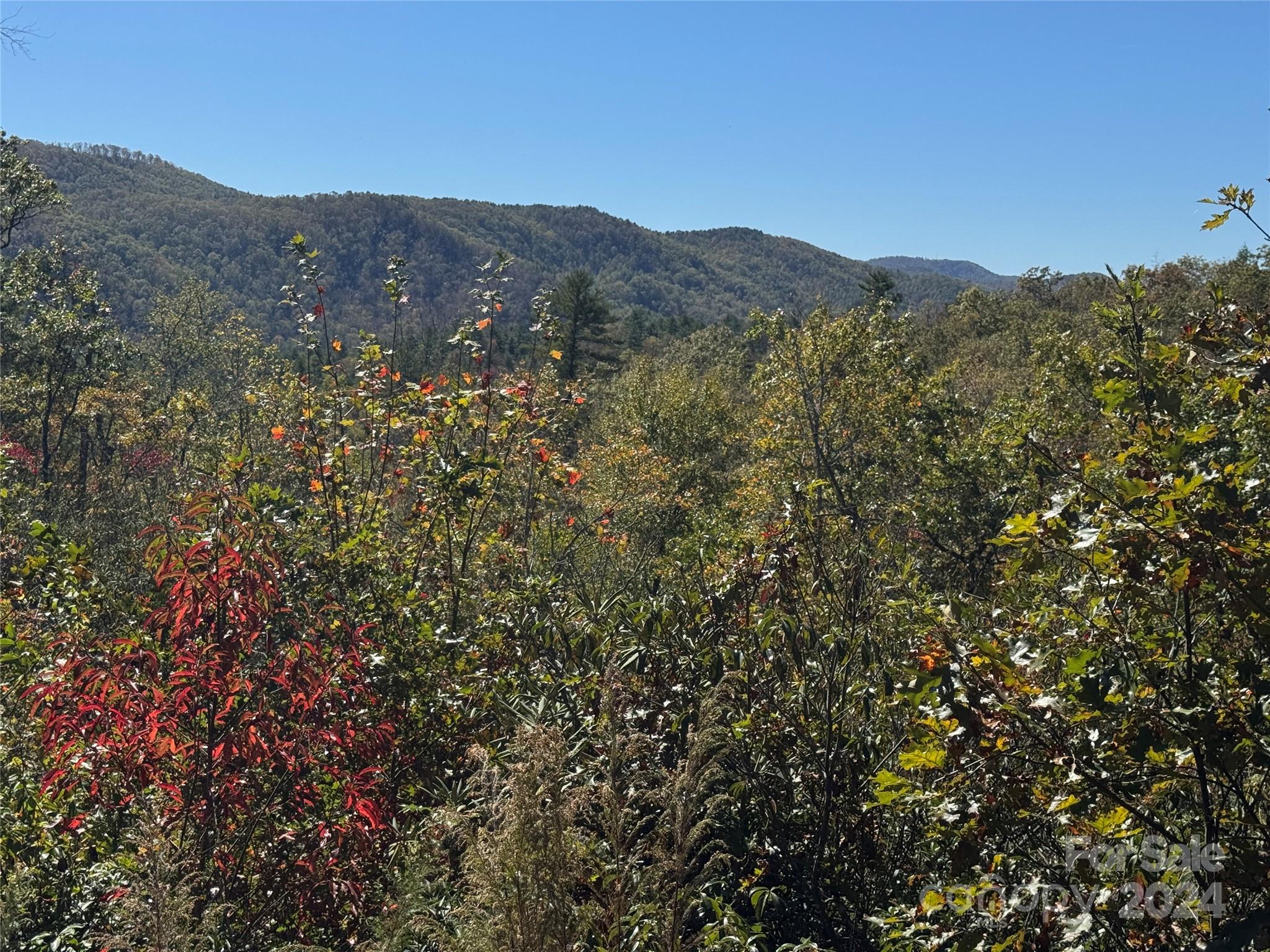 667 Laurel Thicket Lane Property Photo 4