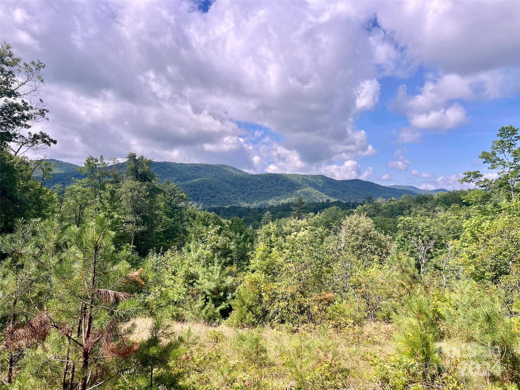 667 Laurel Thicket Lane Property Photo 8