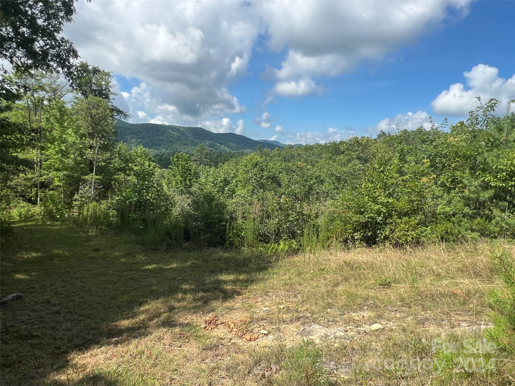 667 Laurel Thicket Lane Property Photo 10