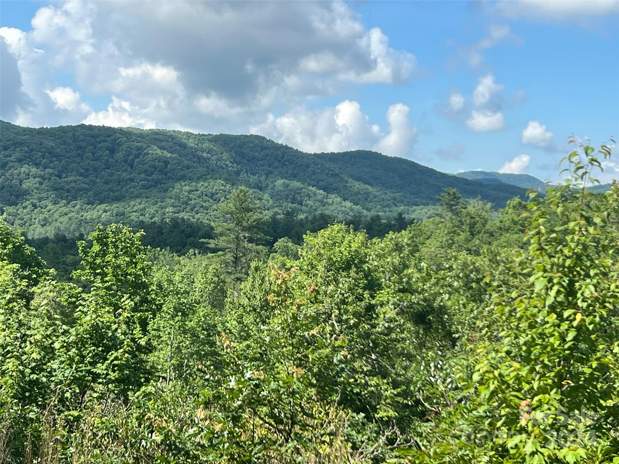 667 Laurel Thicket Lane Property Photo 11
