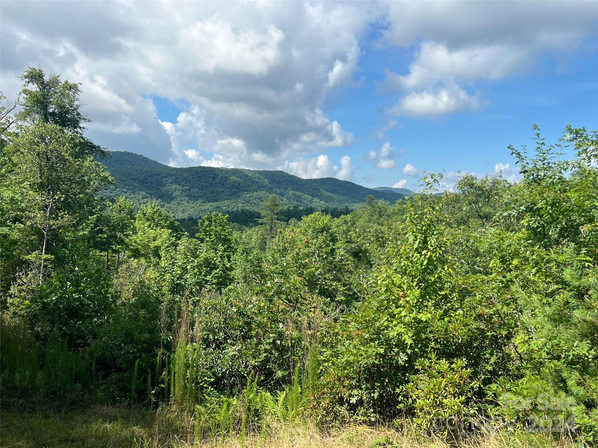 667 Laurel Thicket Lane Property Photo 12