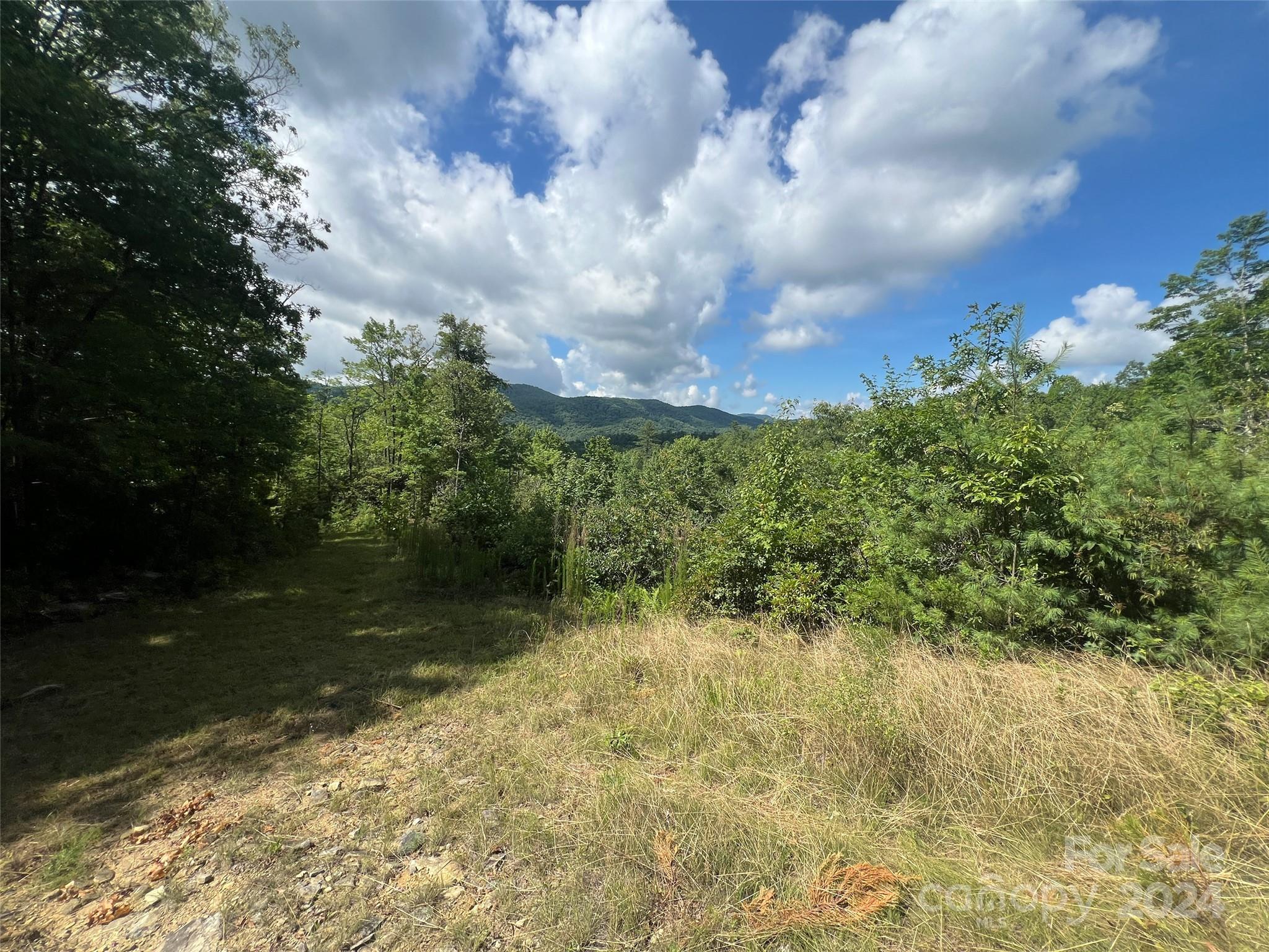667 Laurel Thicket Lane Property Photo 13