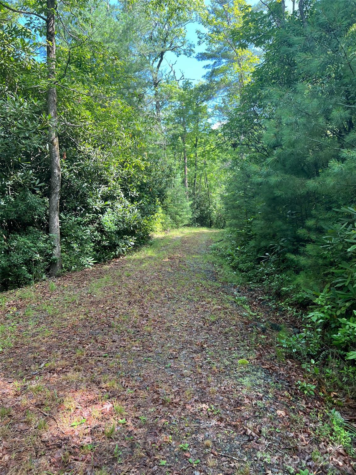 667 Laurel Thicket Lane Property Photo 14