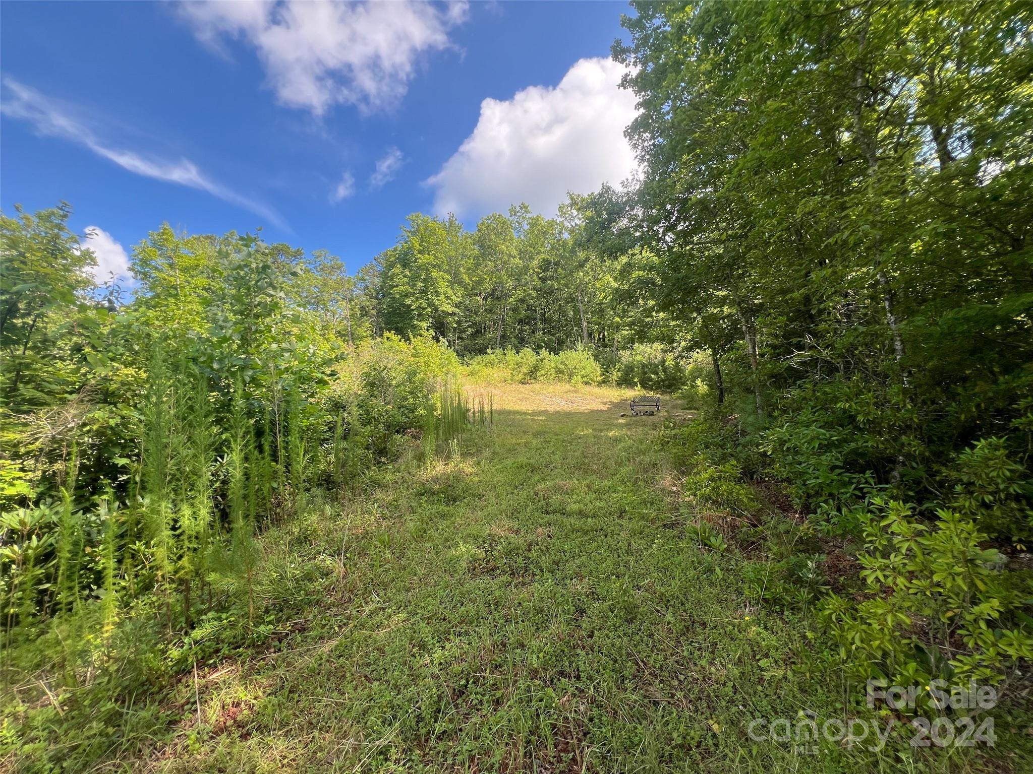 667 Laurel Thicket Lane Property Photo 16