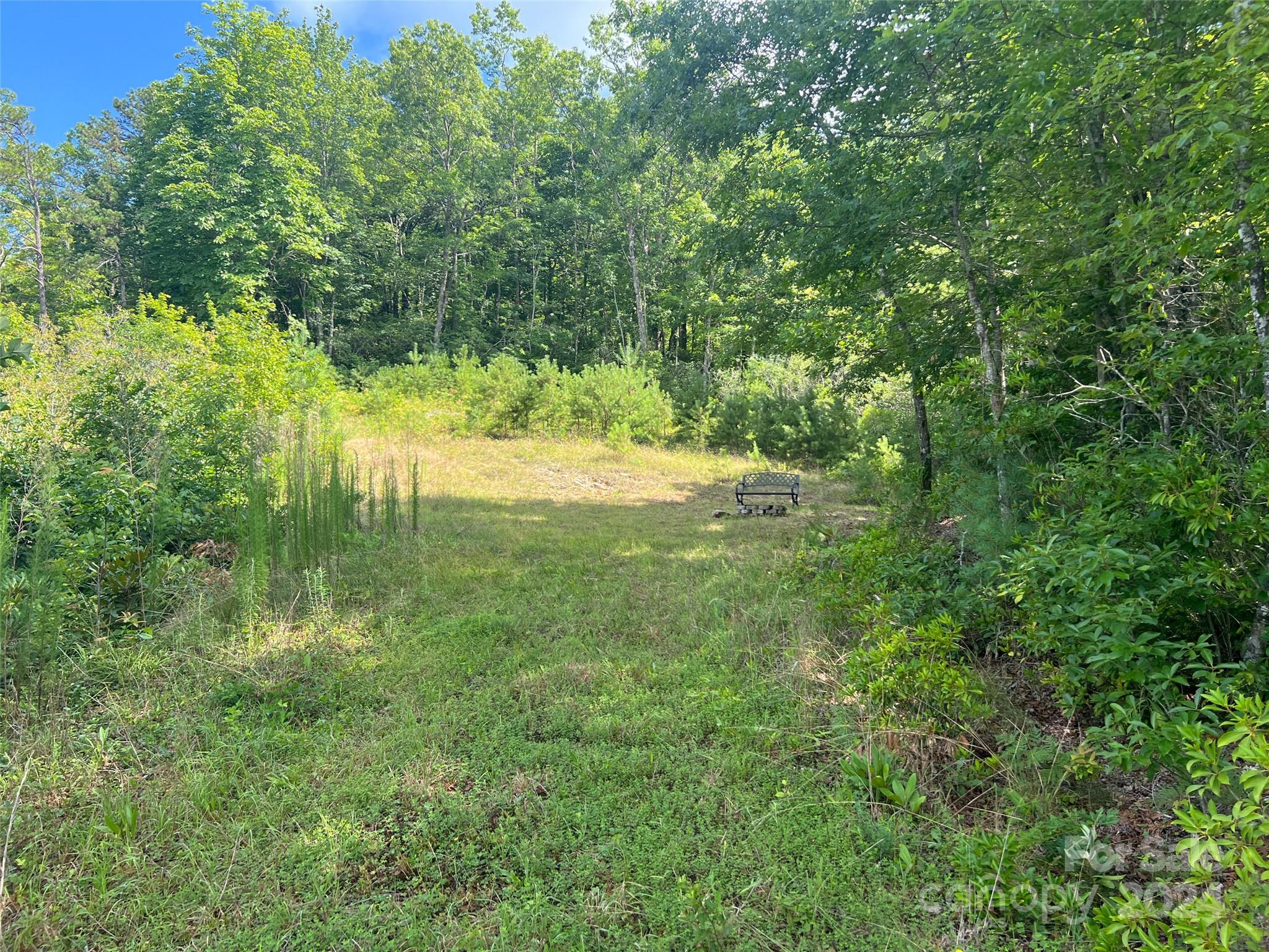 667 Laurel Thicket Lane Property Photo 17