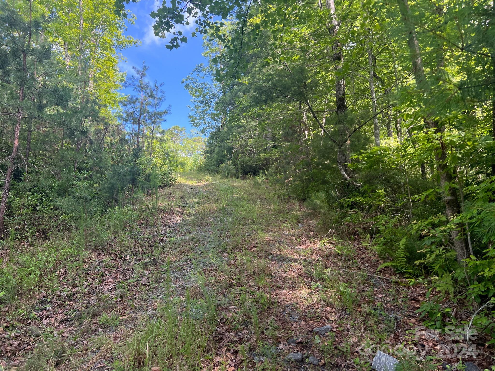 667 Laurel Thicket Lane Property Photo 18
