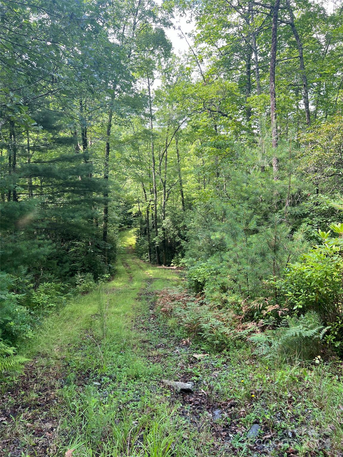 667 Laurel Thicket Lane Property Photo 19