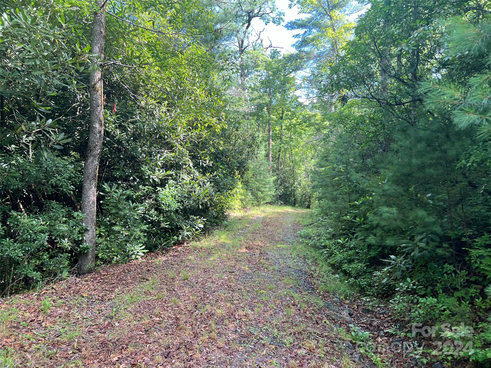 667 Laurel Thicket Lane Property Photo 21