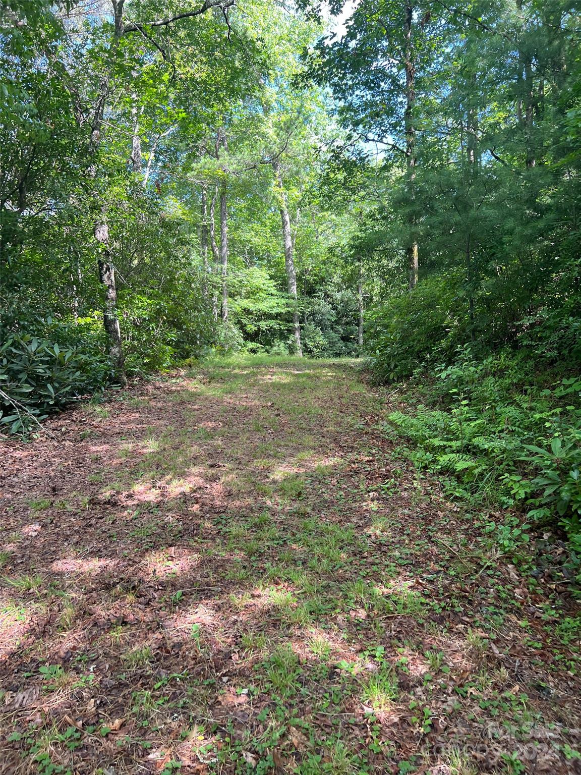 667 Laurel Thicket Lane Property Photo 22