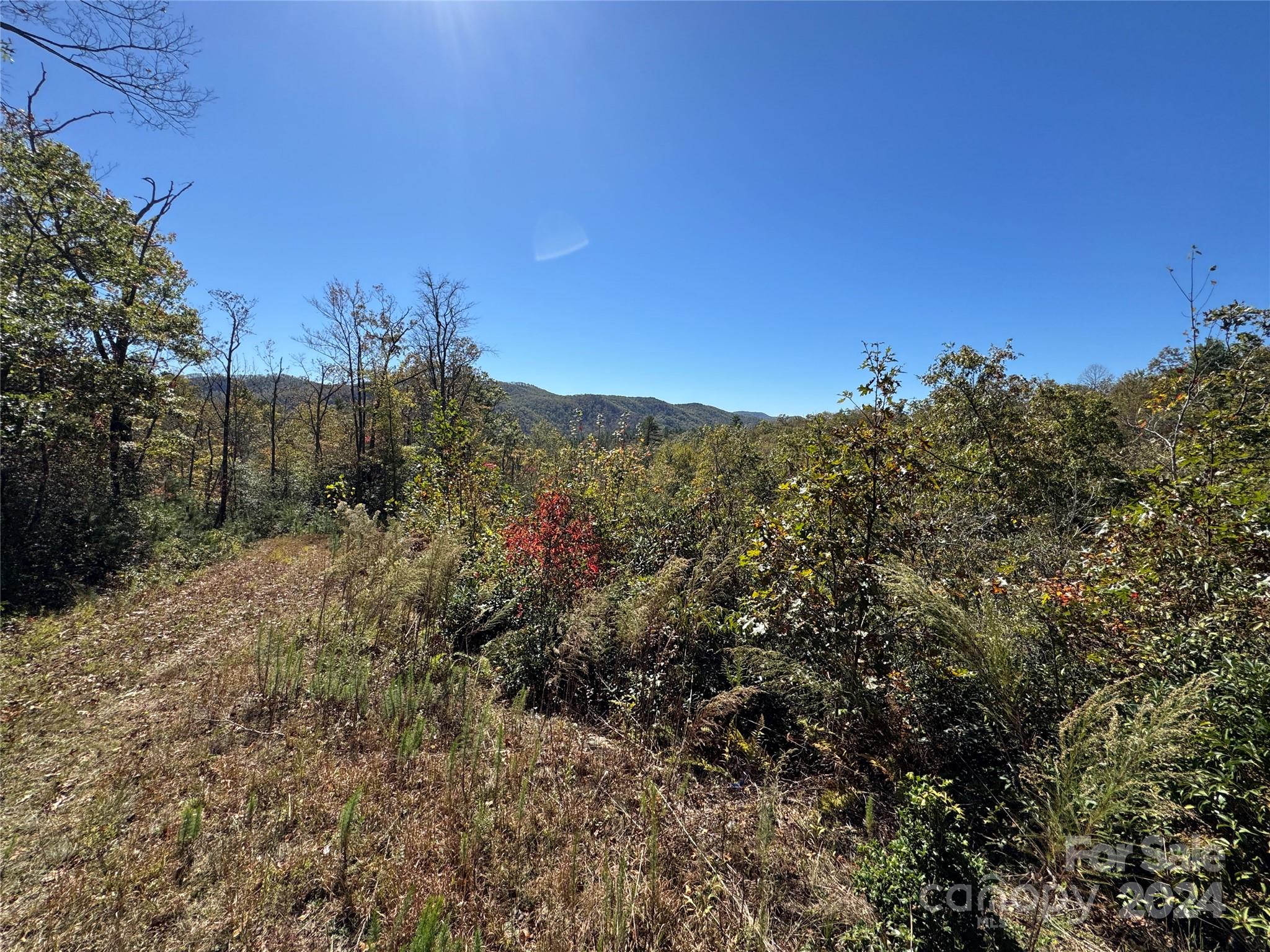 667 Laurel Thicket Lane Property Photo 27