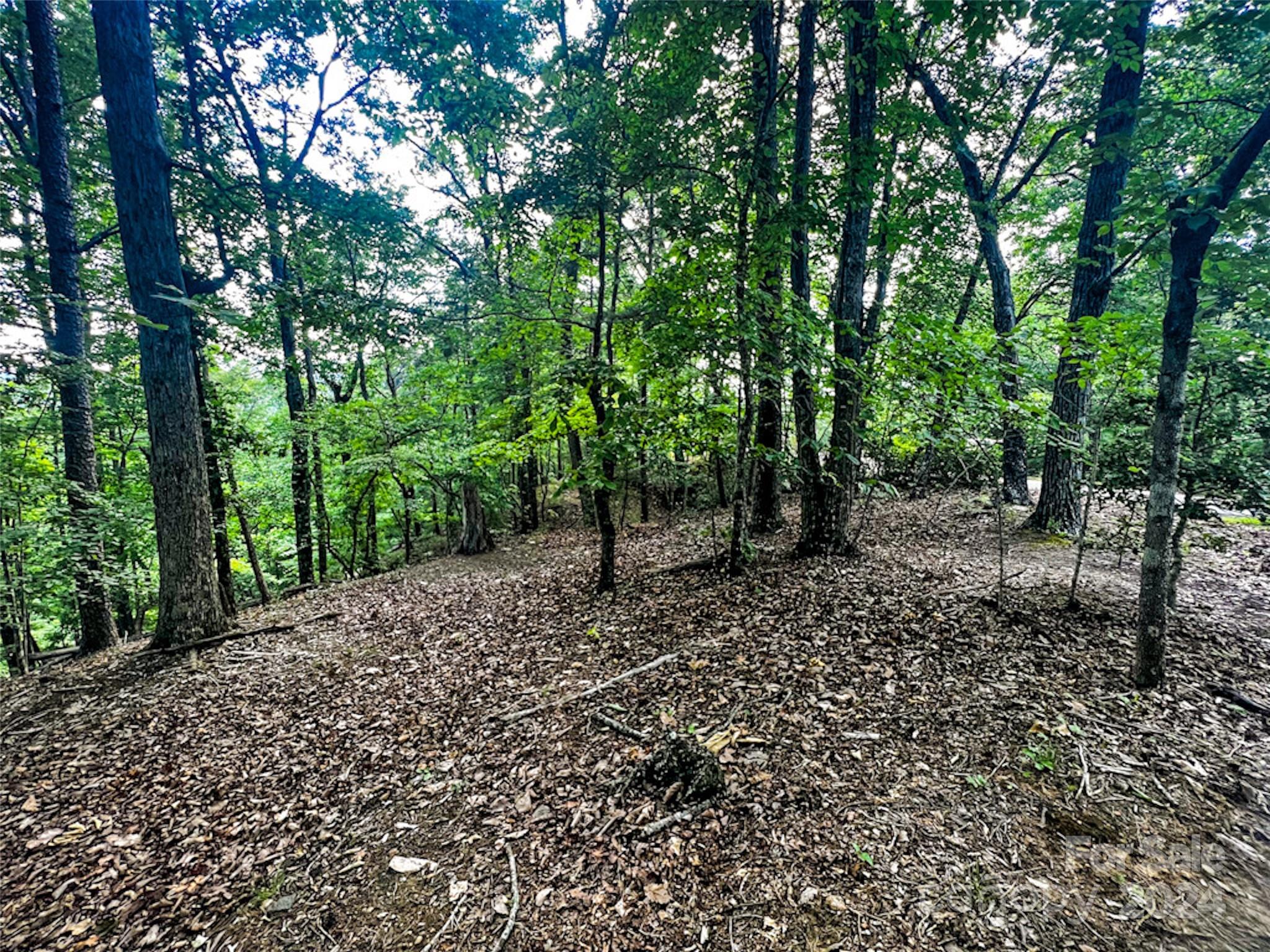00 Whitney Boulevard Lot 124 Property Photo 1