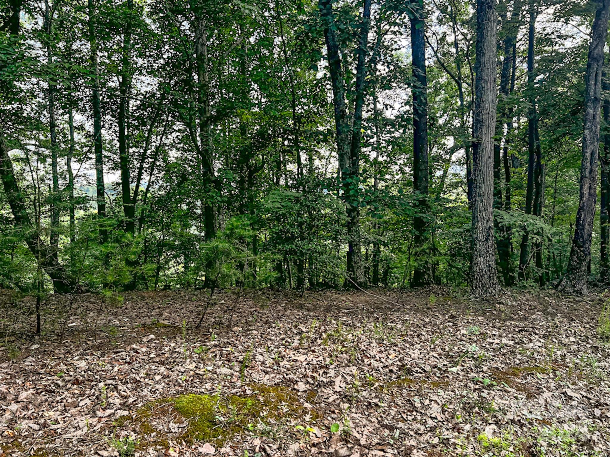 00 Whitney Boulevard Lot 124 Property Photo 2