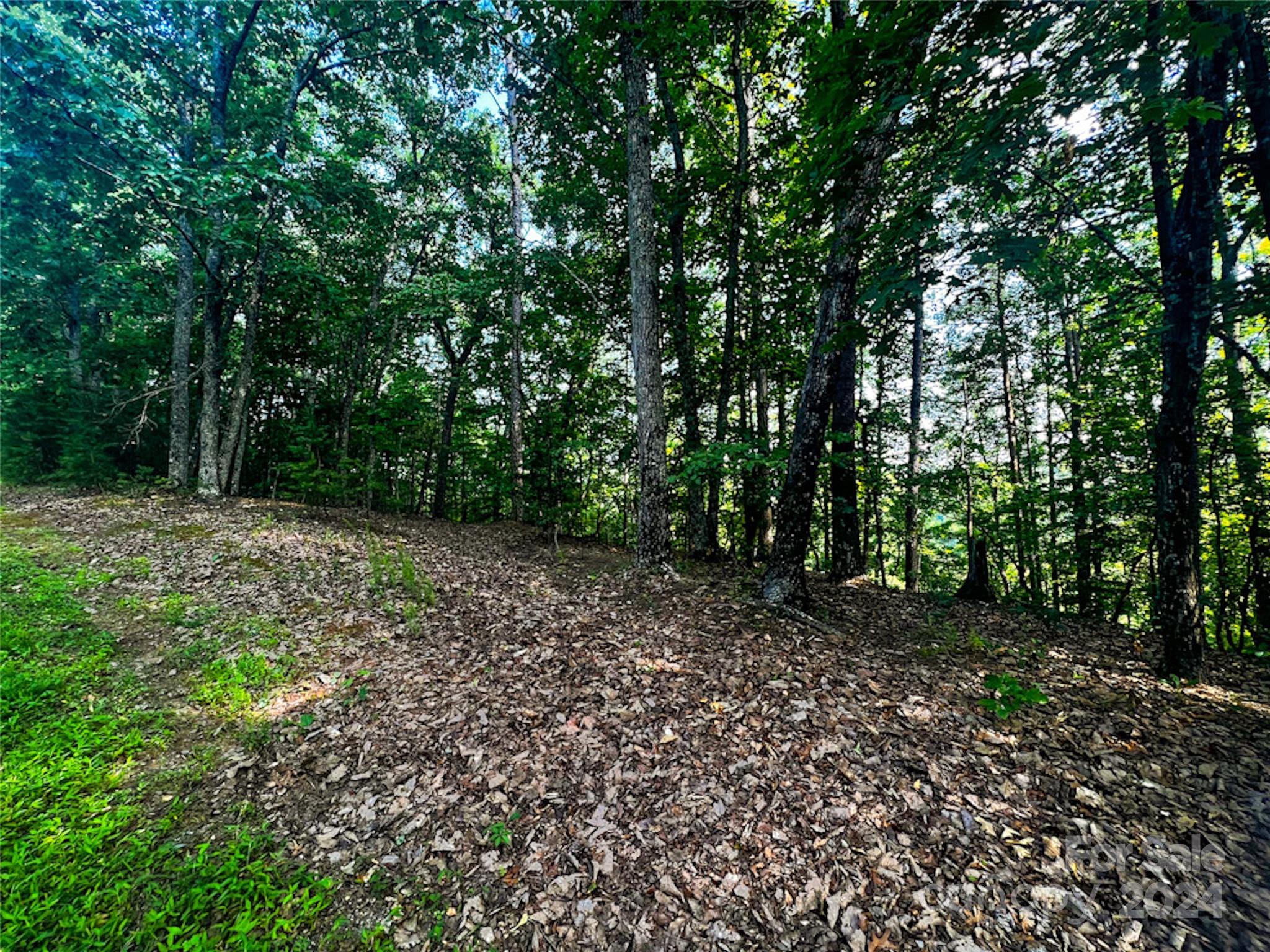 00 Whitney Boulevard Lot 124 Property Photo 3