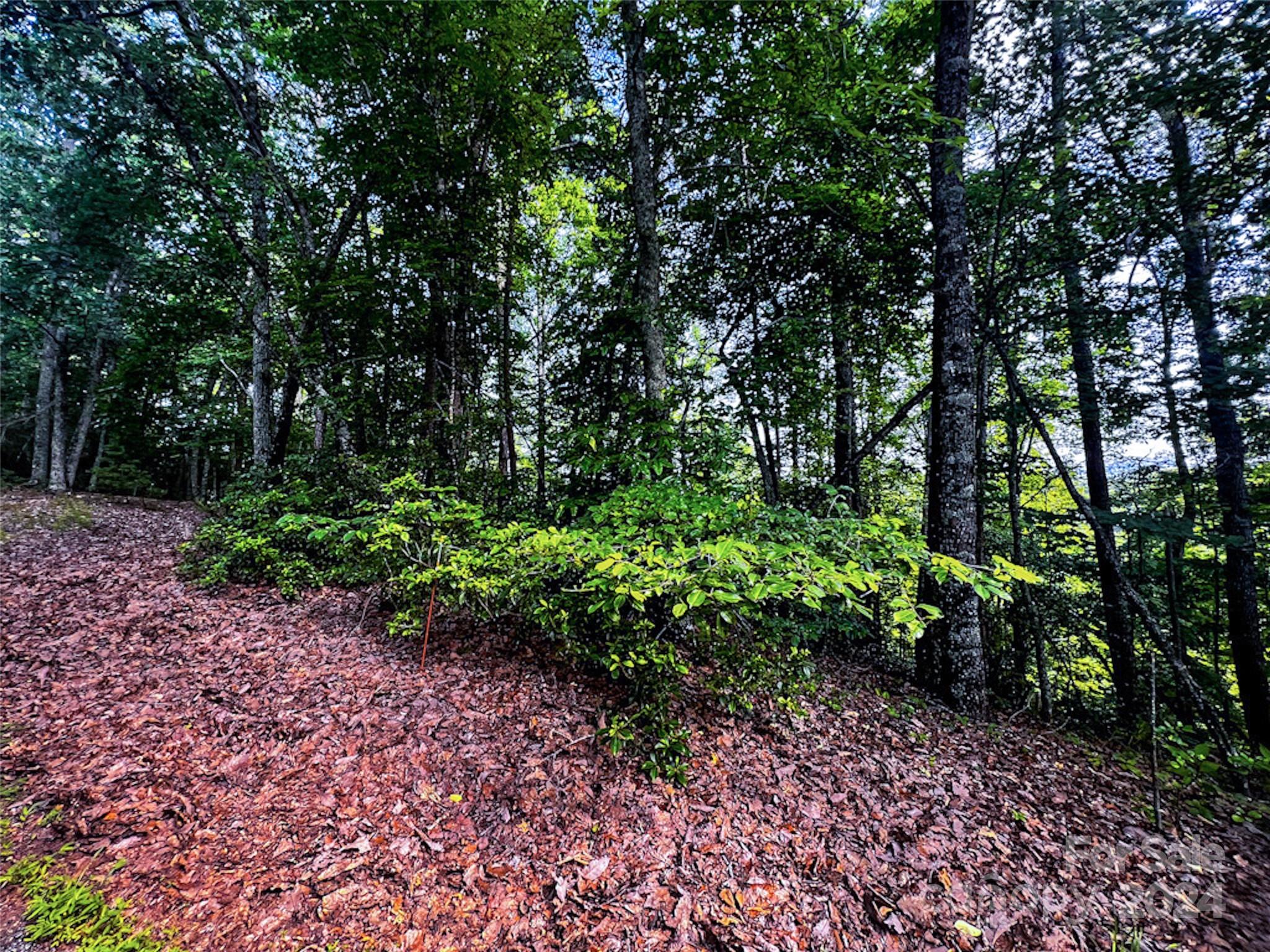00 Whitney Boulevard Lot 124 Property Photo 4