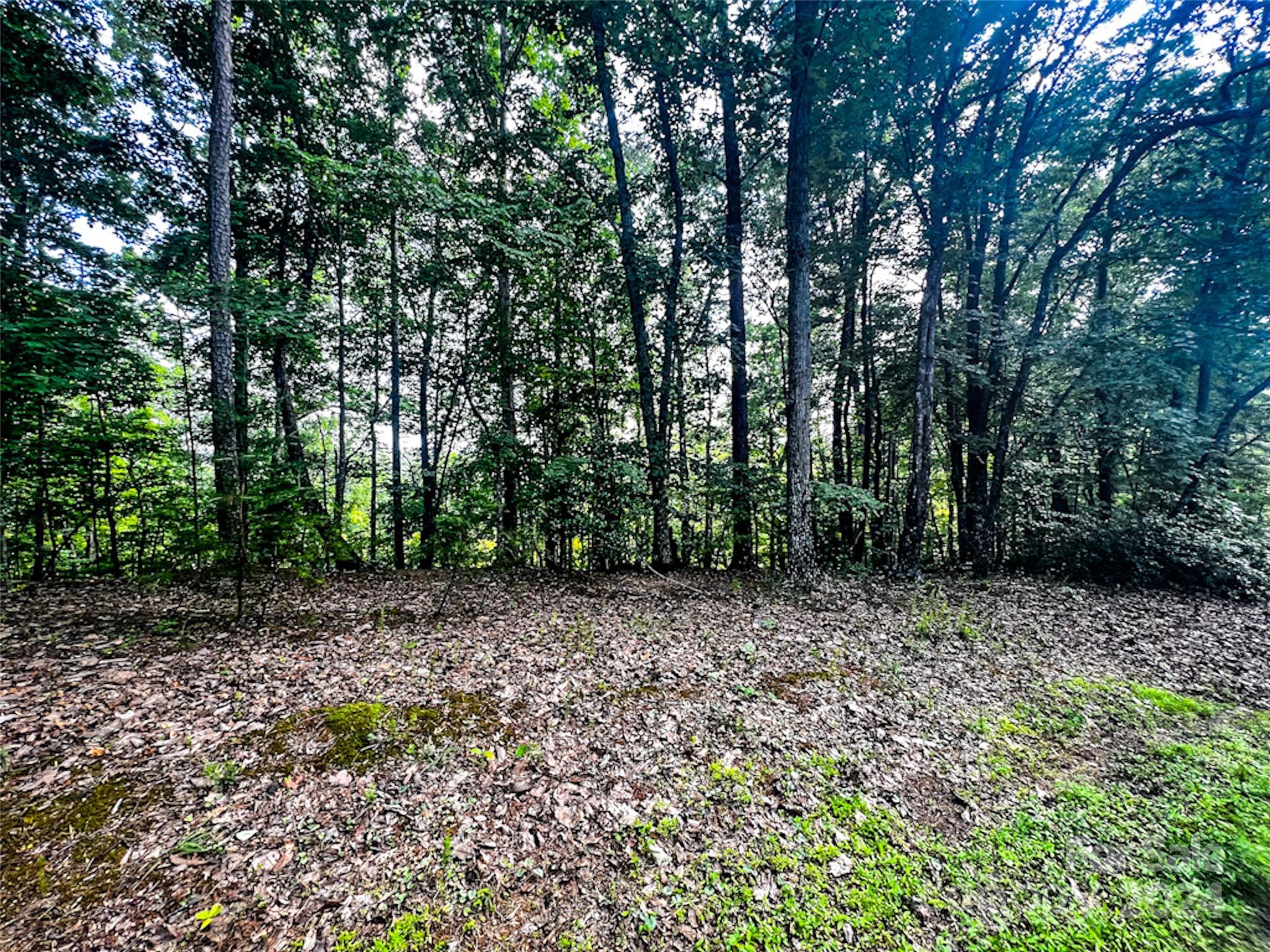00 Whitney Boulevard Lot 124 Property Photo 5