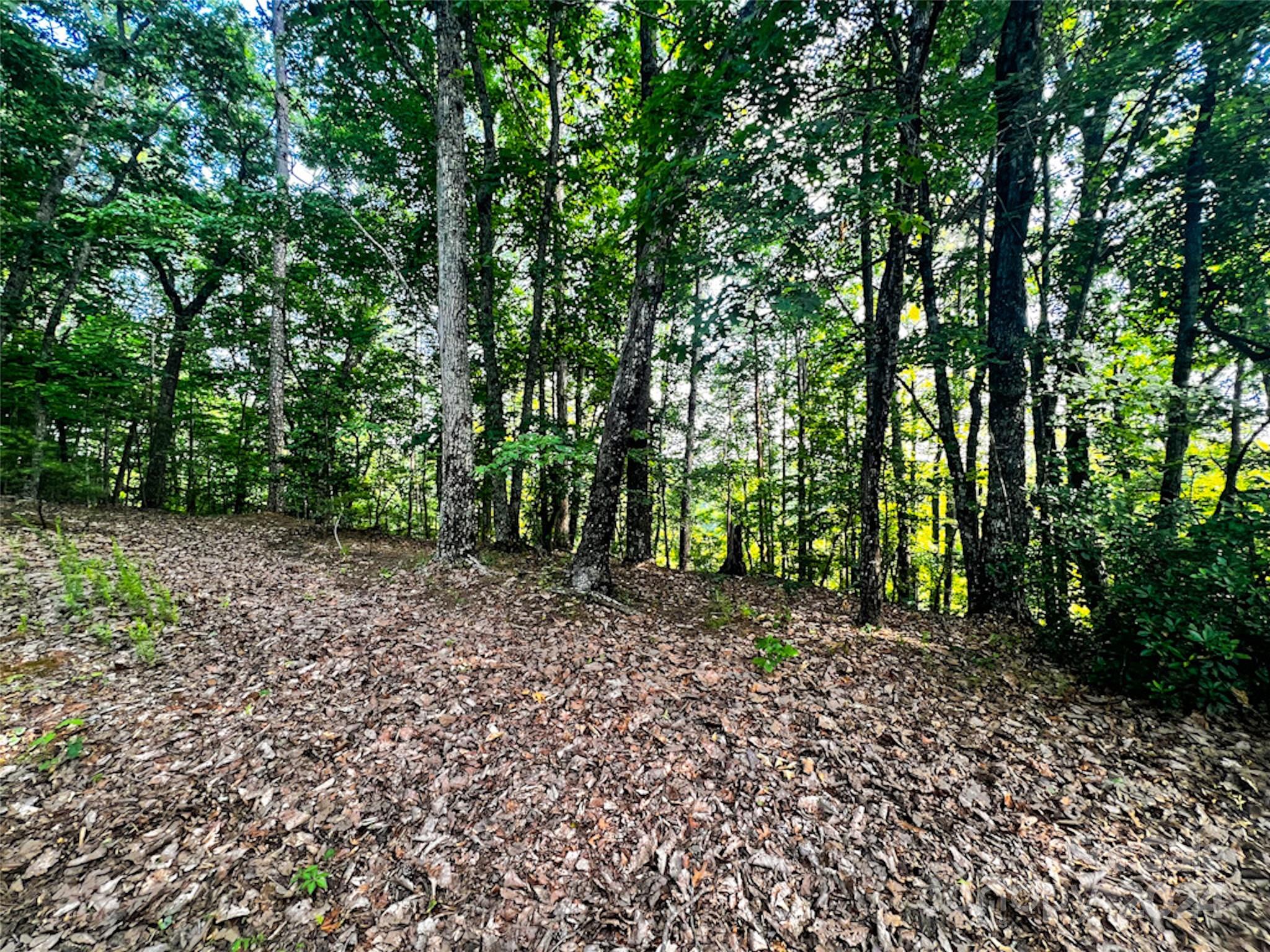 00 Whitney Boulevard Lot 124 Property Photo 6