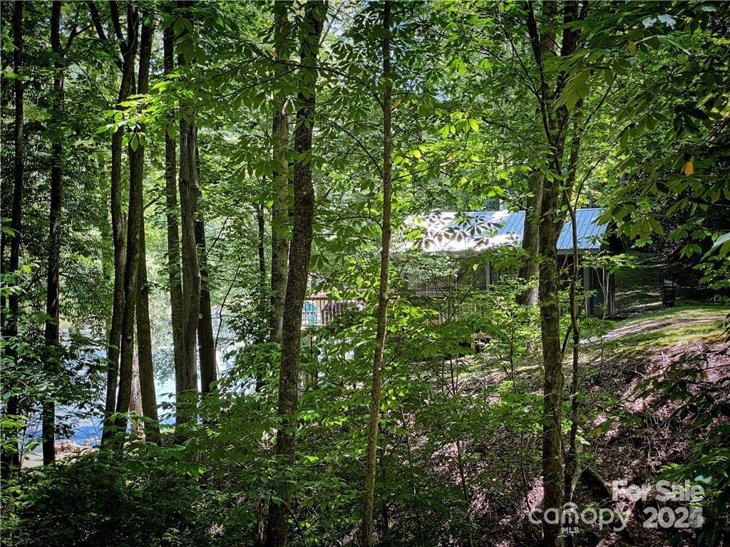 2736 White Oak Flats Road Property Photo 36