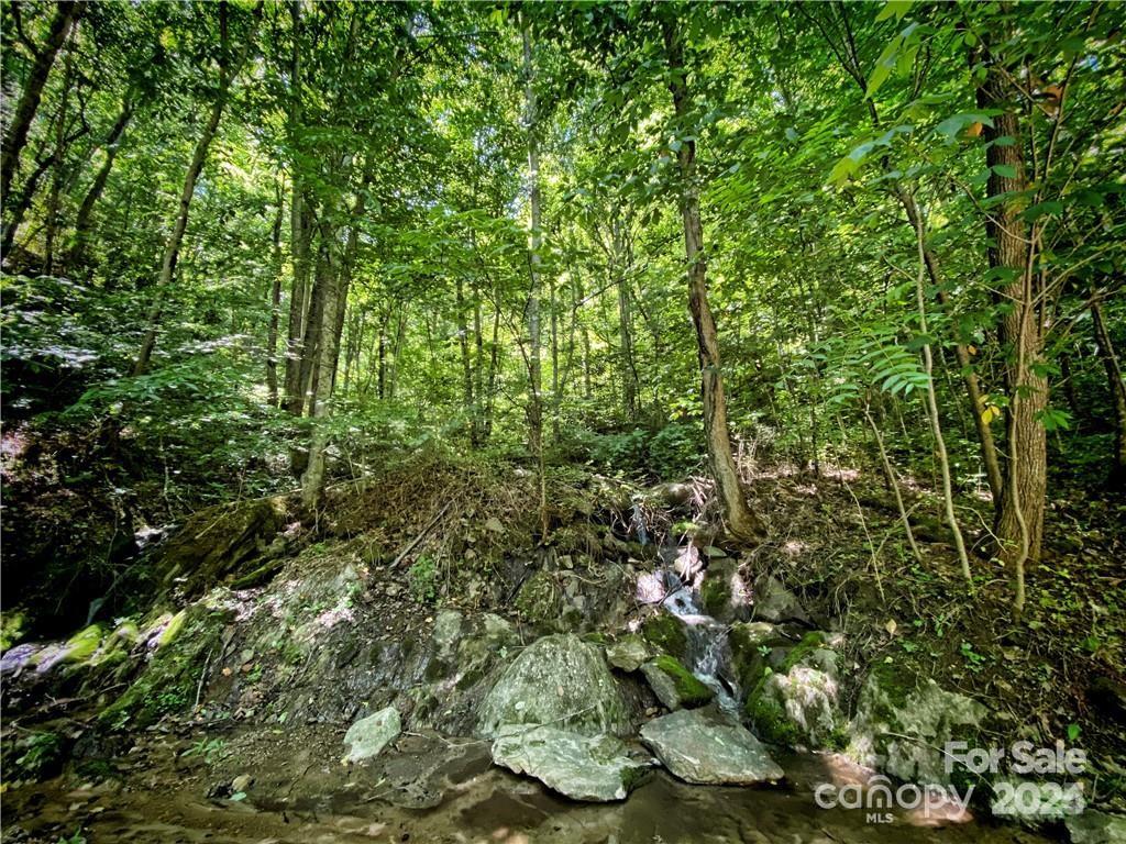 2736 White Oak Flats Road Property Photo 37