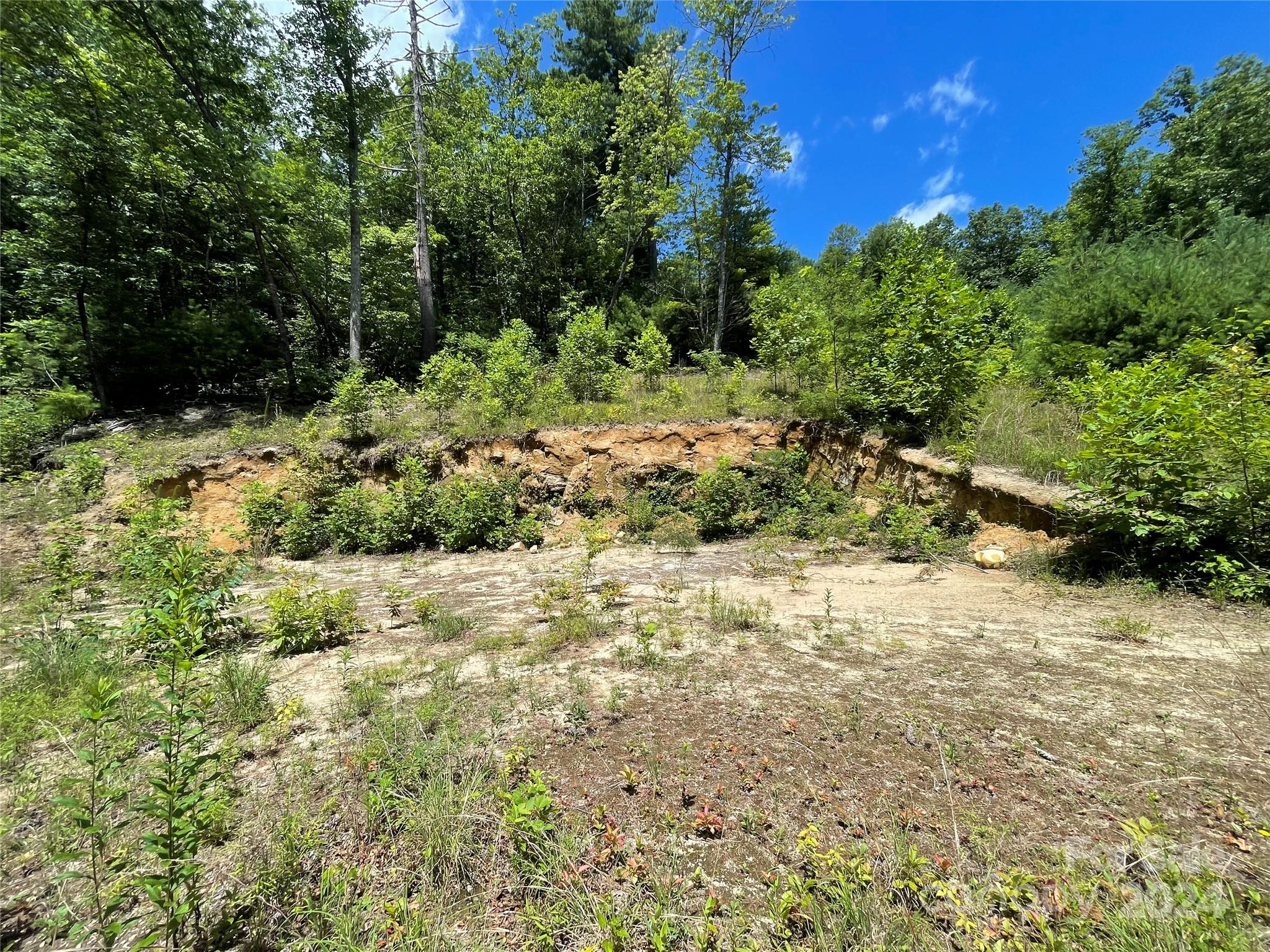 00 Willow Run Lane 6 Property Photo 13