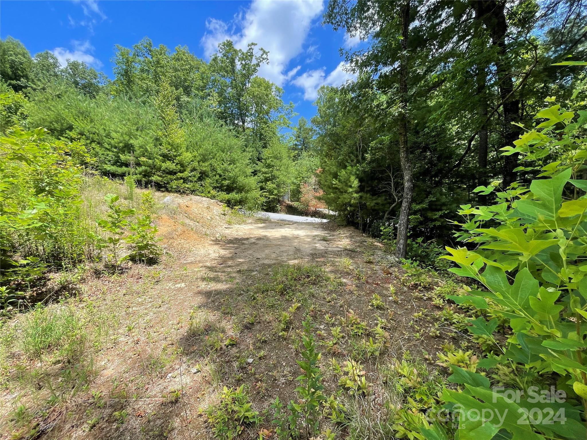 00 Willow Run Lane 6 Property Photo 14