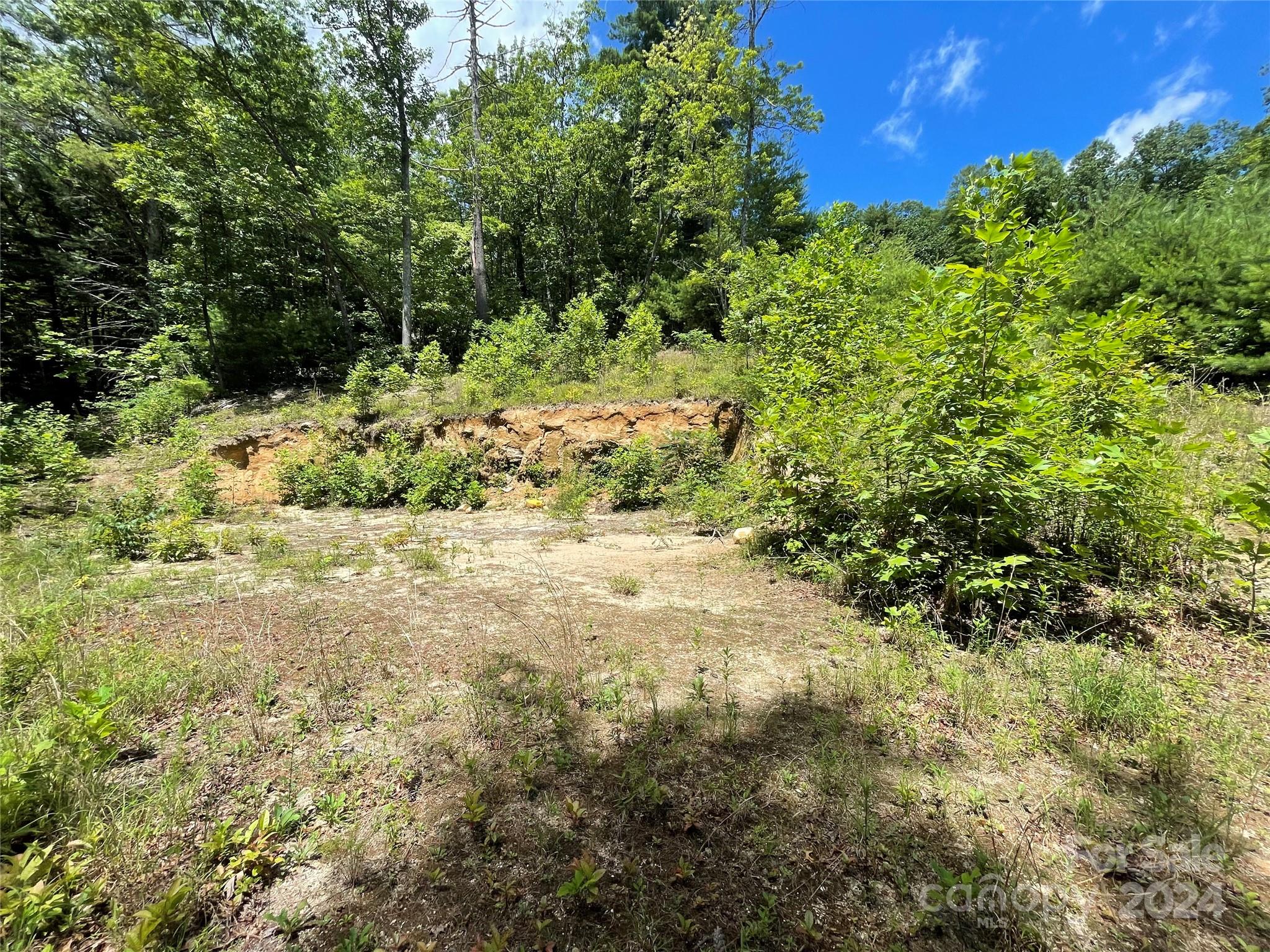00 Willow Run Lane 6 Property Photo 15