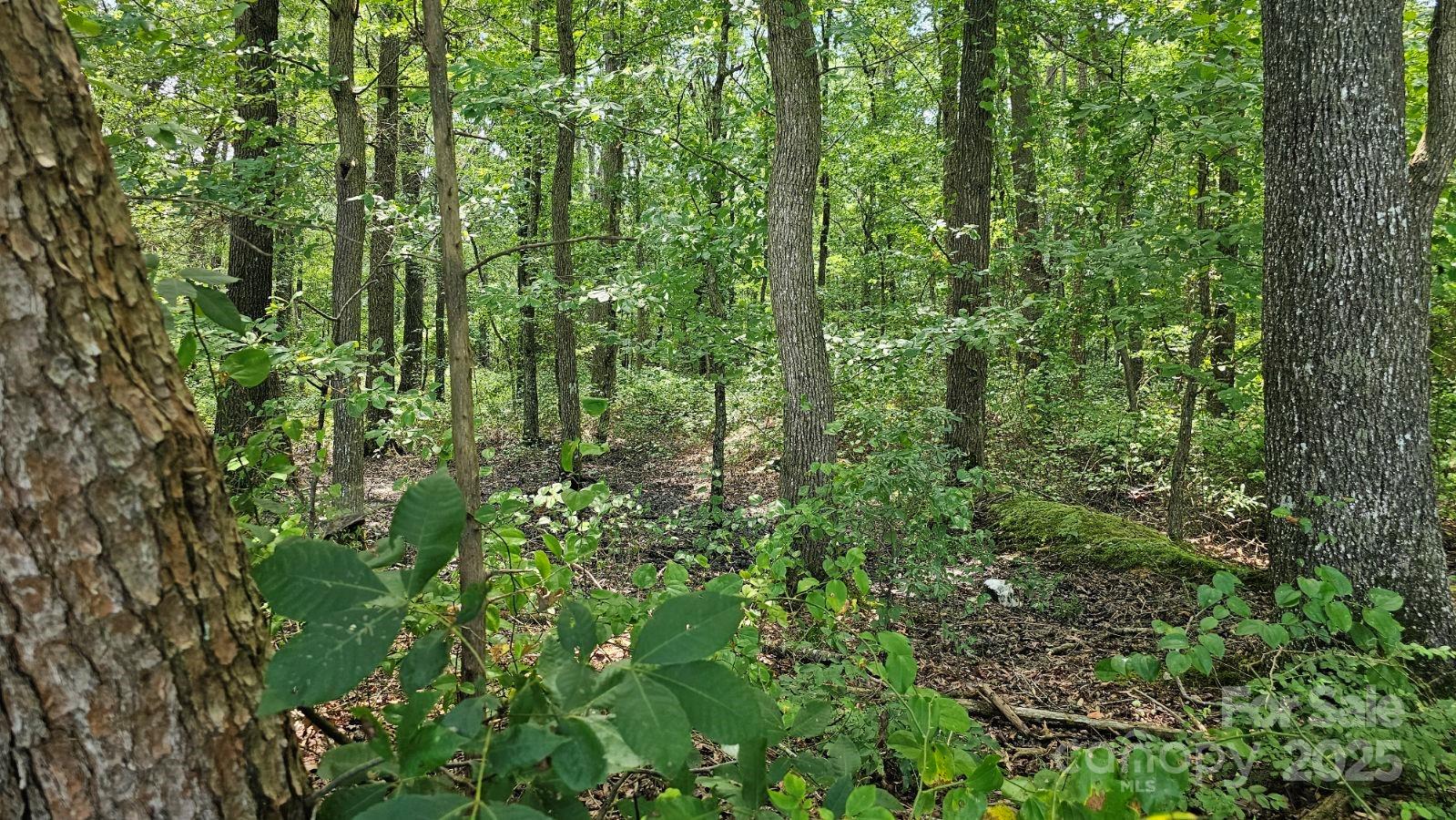 1450 Pork Road Property Photo