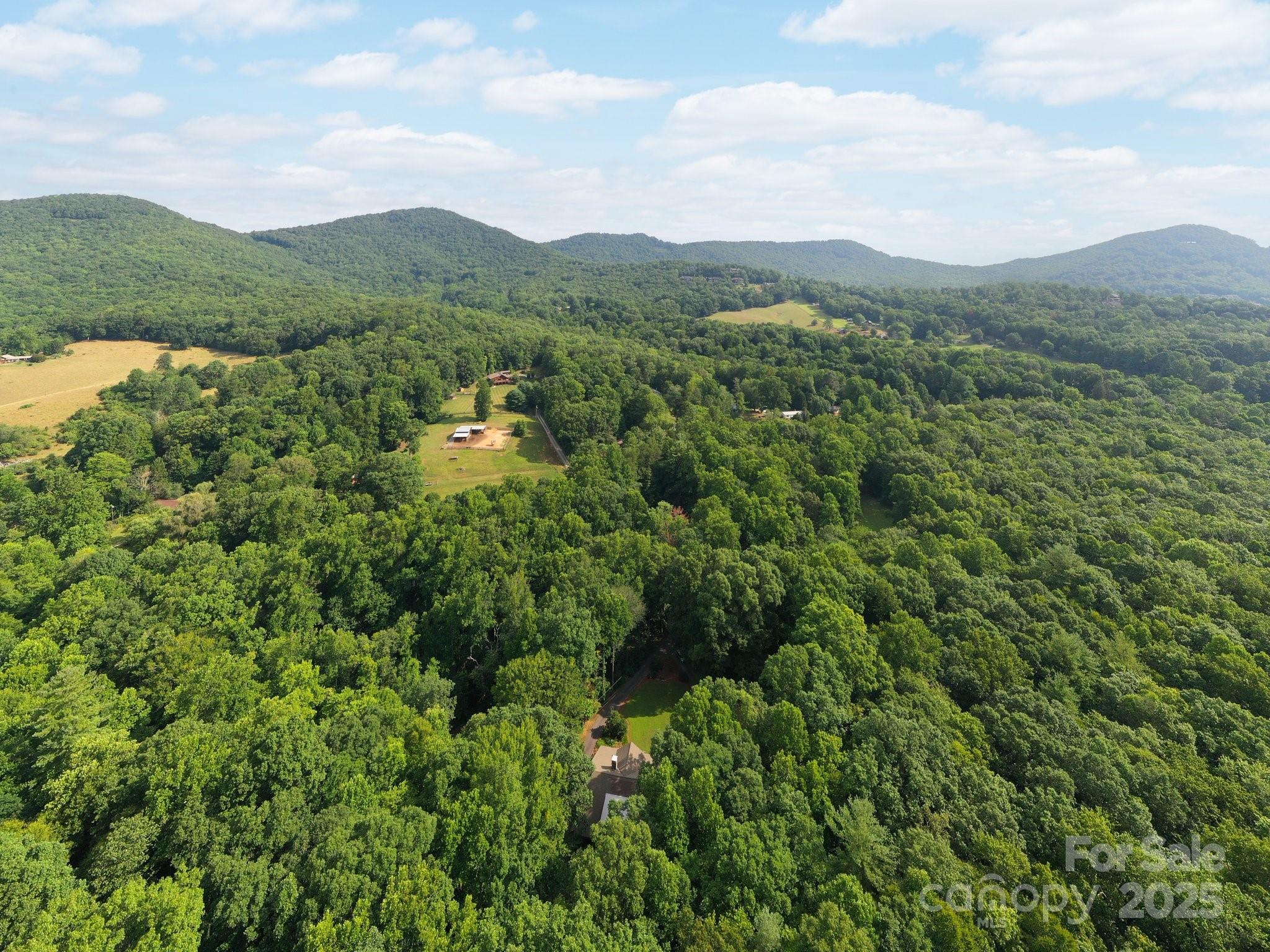 552 Avery Creek Property Photo 2