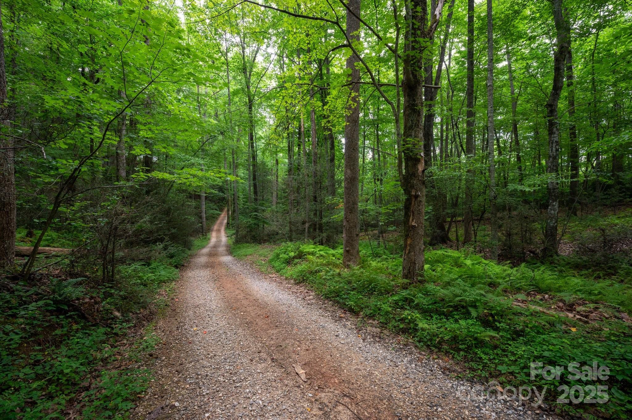 552 Avery Creek Property Photo 42