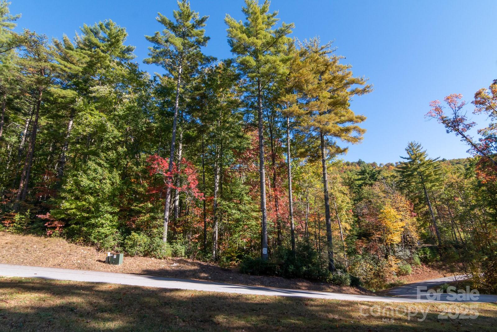 Tbd Peppervine Circle 86 Property Photo