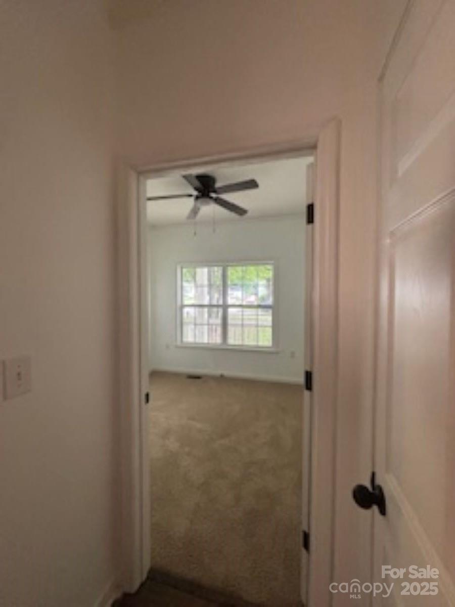 13 Cascade Street Property Photo 9