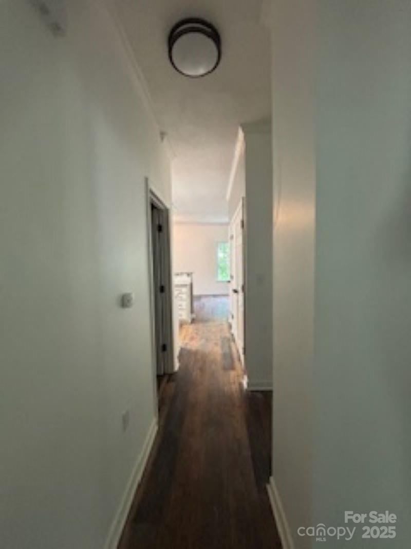 13 Cascade Street Property Photo 10