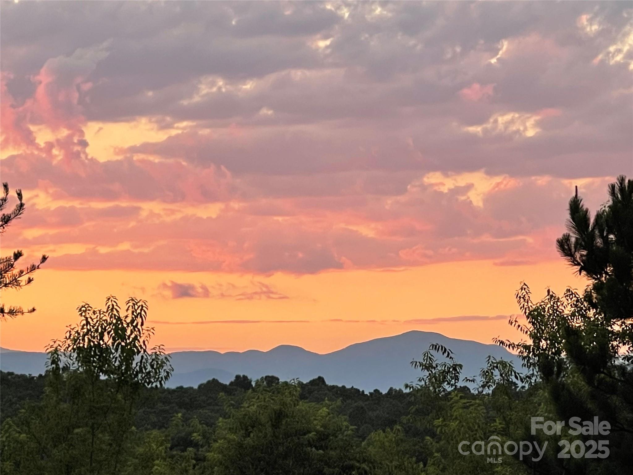 9999 Moore Road 3 Property Photo 5