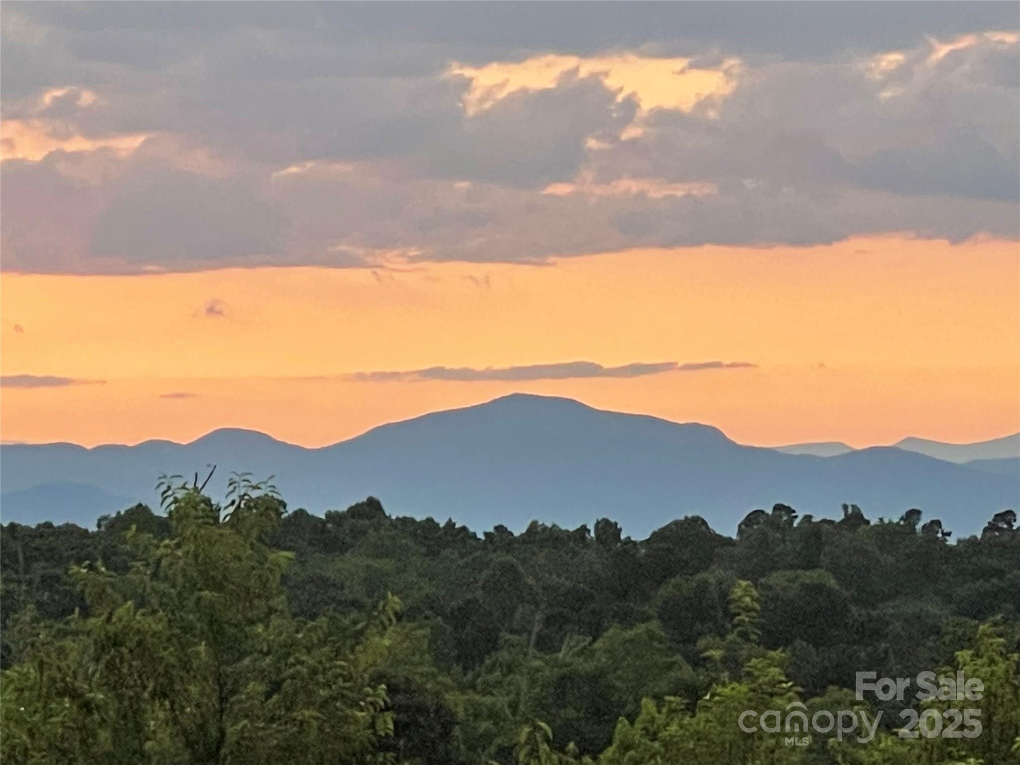 9999 Moore Road 3 Property Photo 6