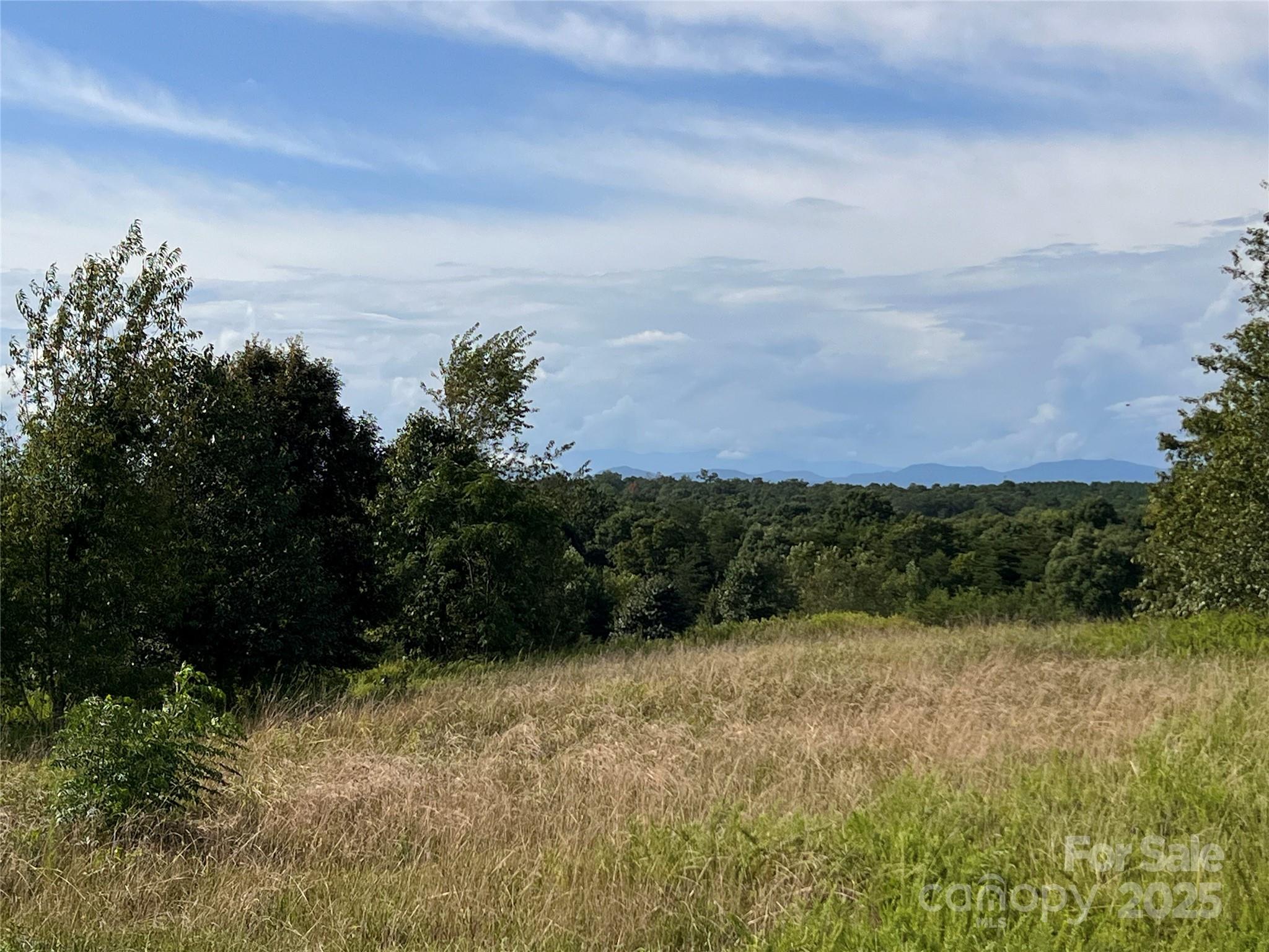 9999 Moore Road 3 Property Photo 9