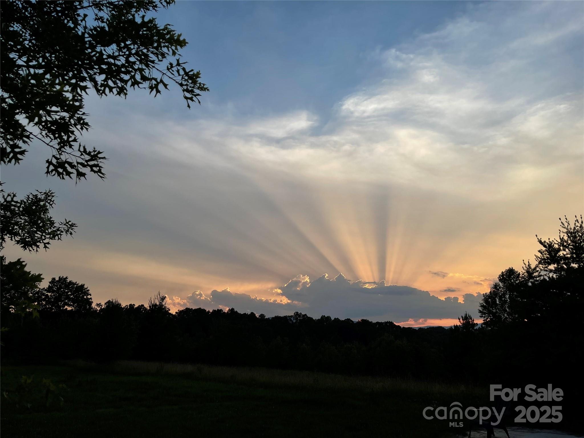 9999 Moore Road 3 Property Photo 10