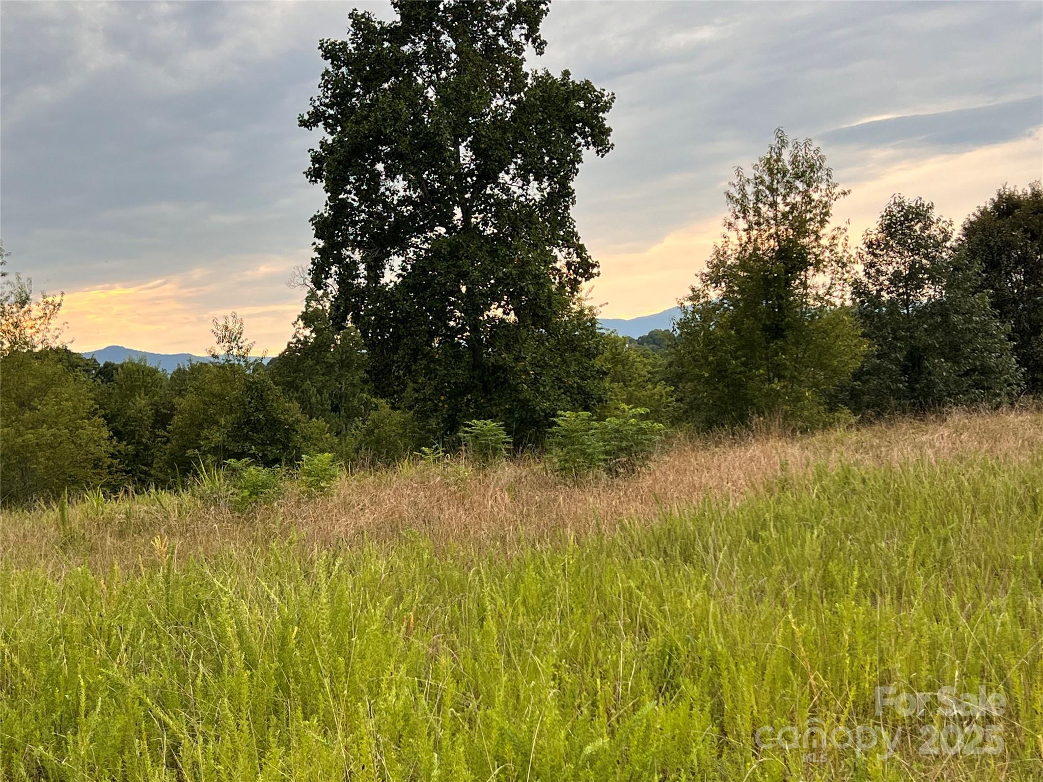 9999 Moore Road 3 Property Photo 13