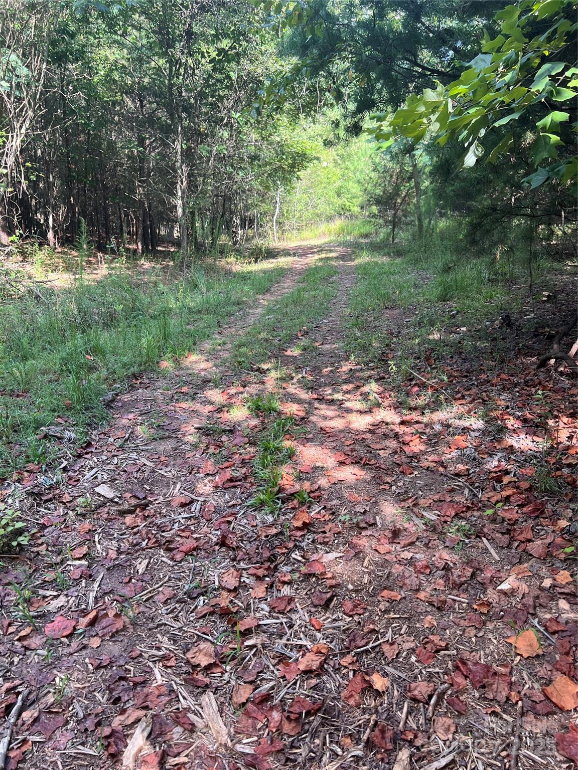 9999 Moore Road 3 Property Photo 14