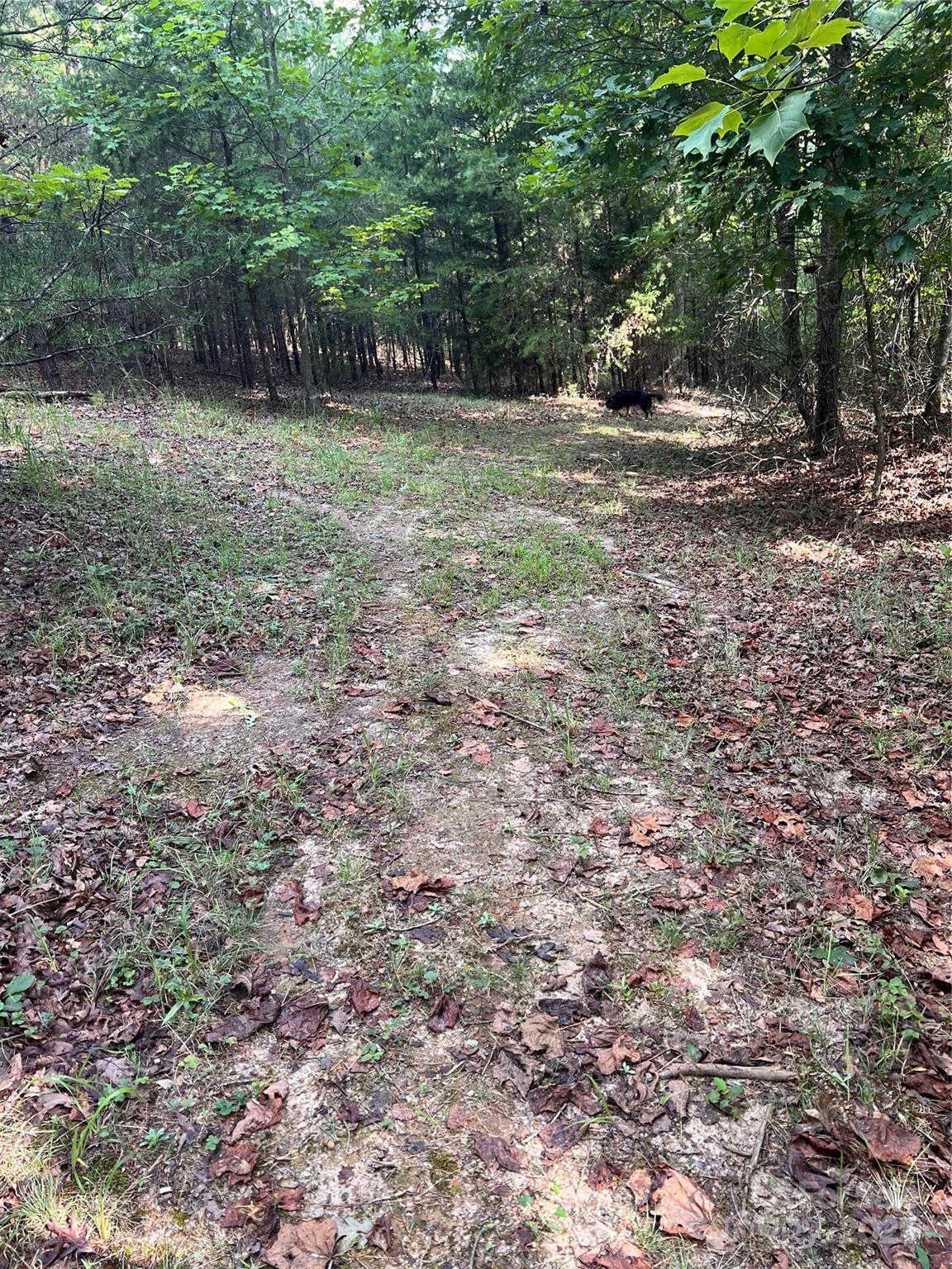 9999 Moore Road 3 Property Photo 15