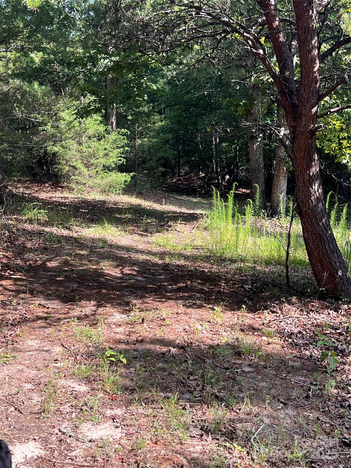 9999 Moore Road 3 Property Photo 16