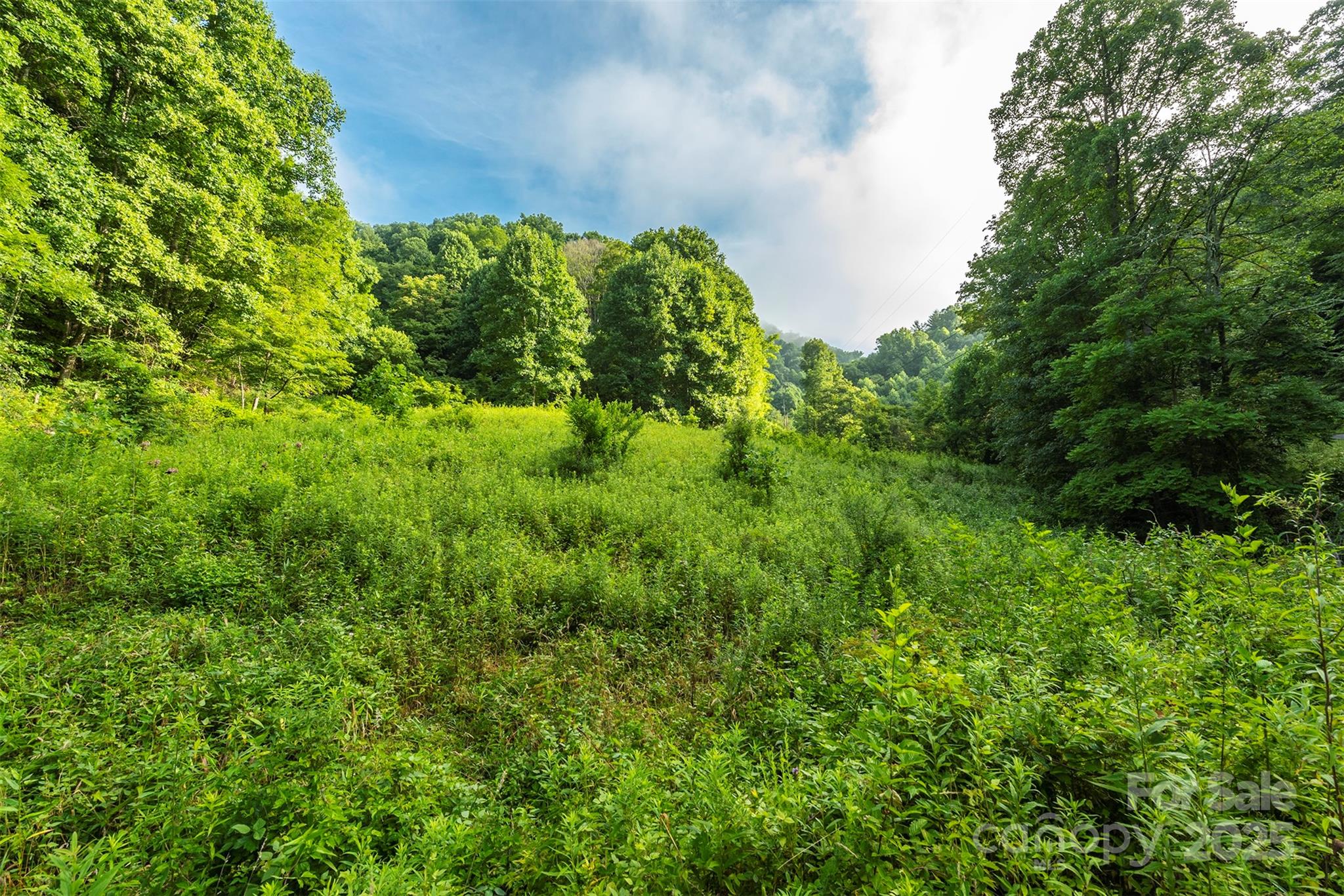 99999 Renfro Road Property Photo 7