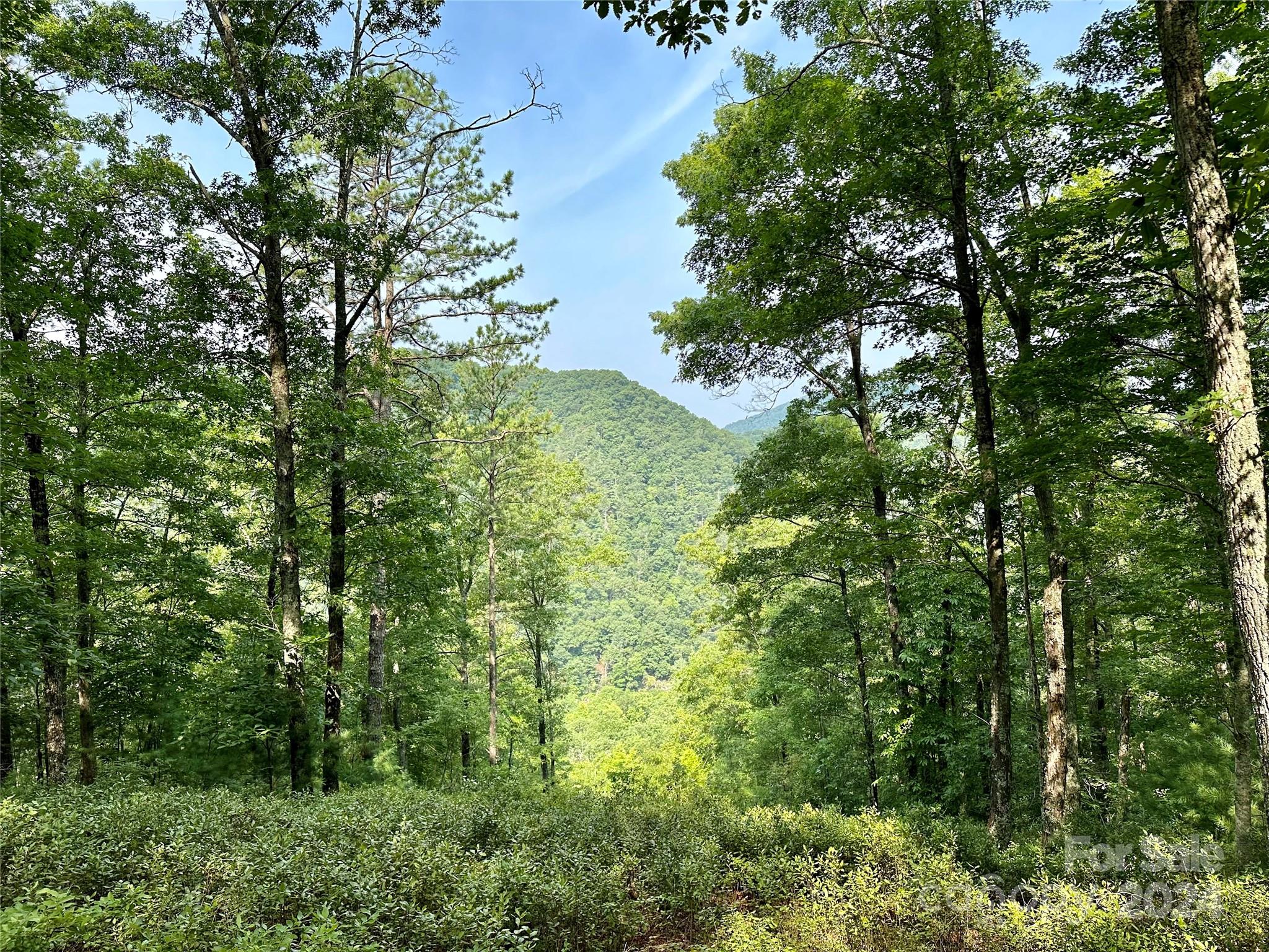 151 Wild Turkey Loop 29 Property Photo 1