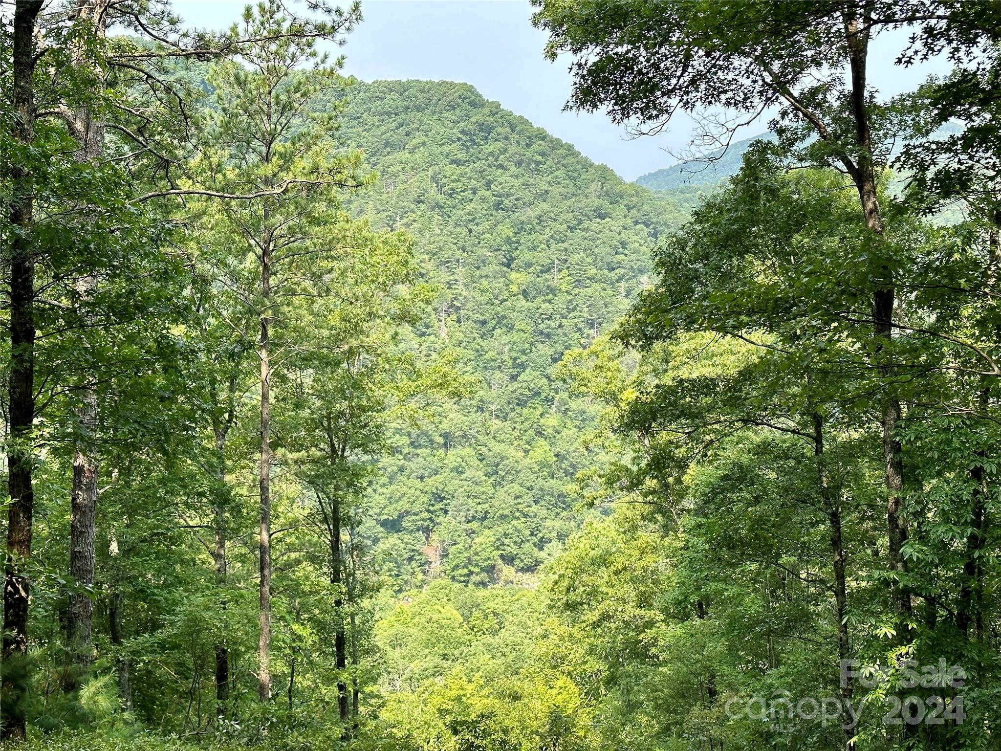 151 Wild Turkey Loop 29 Property Photo 2