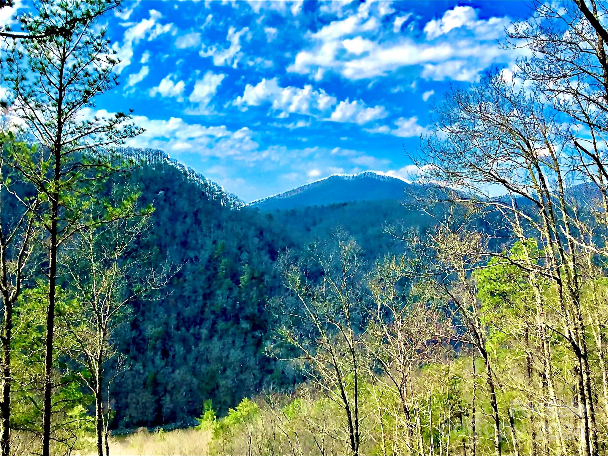 151 Wild Turkey Loop 29 Property Photo 3